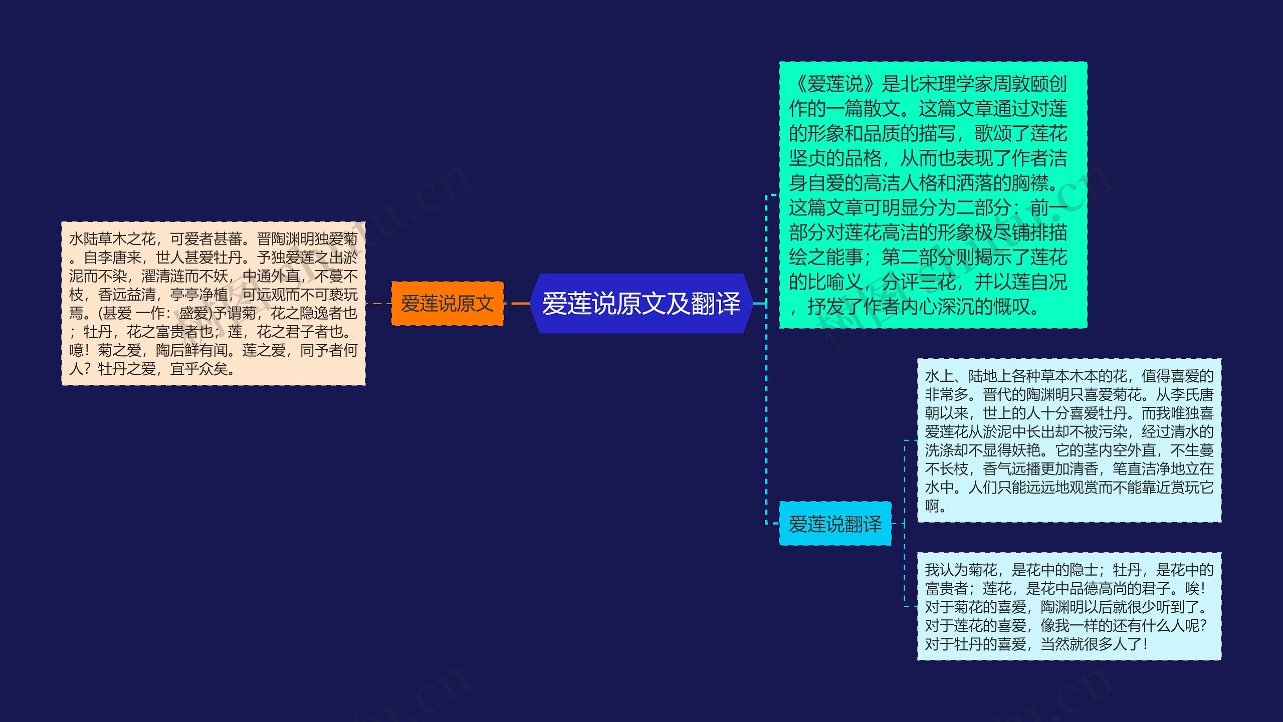 爱莲说原文及翻译思维导图