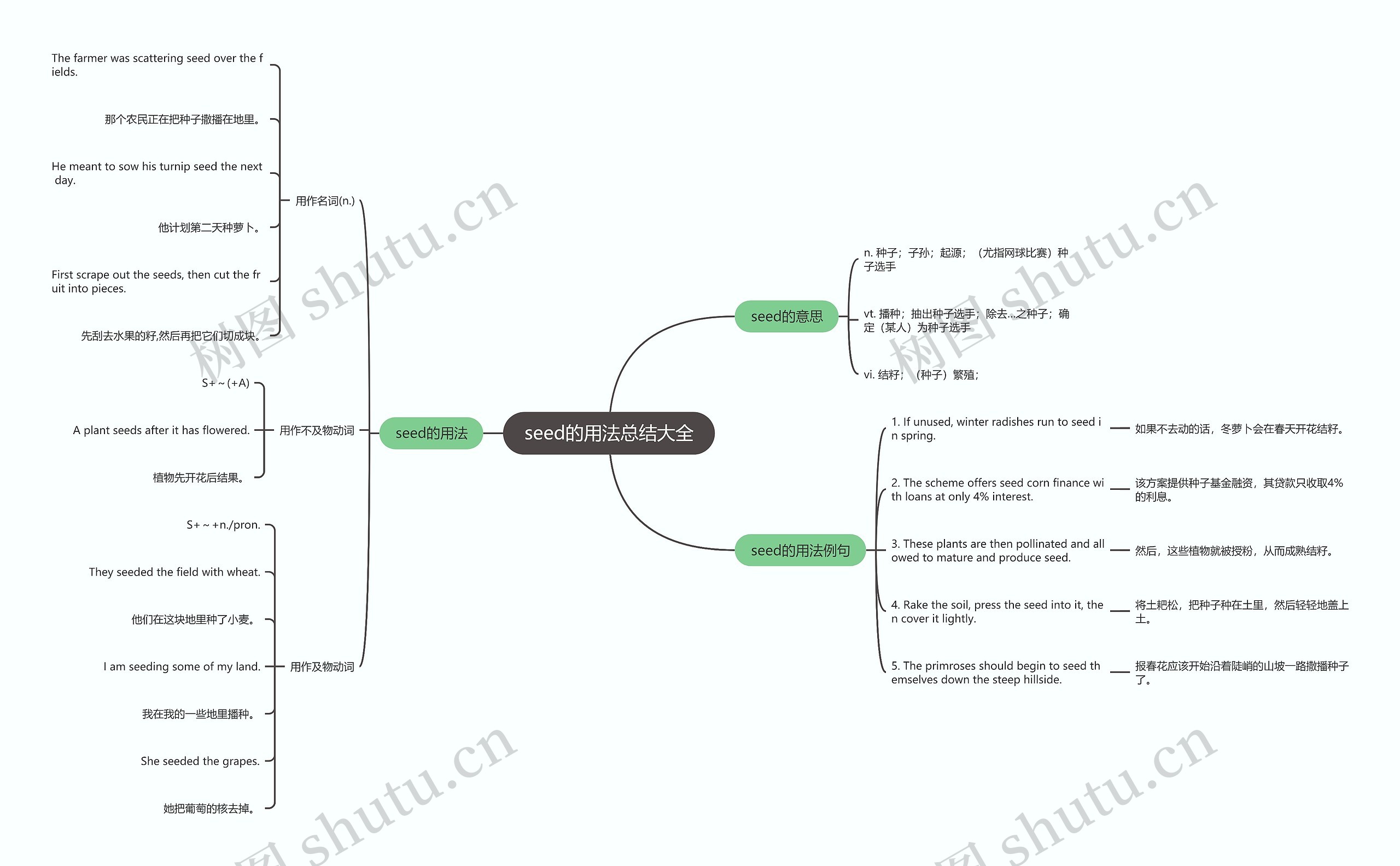 seed的用法总结大全思维导图