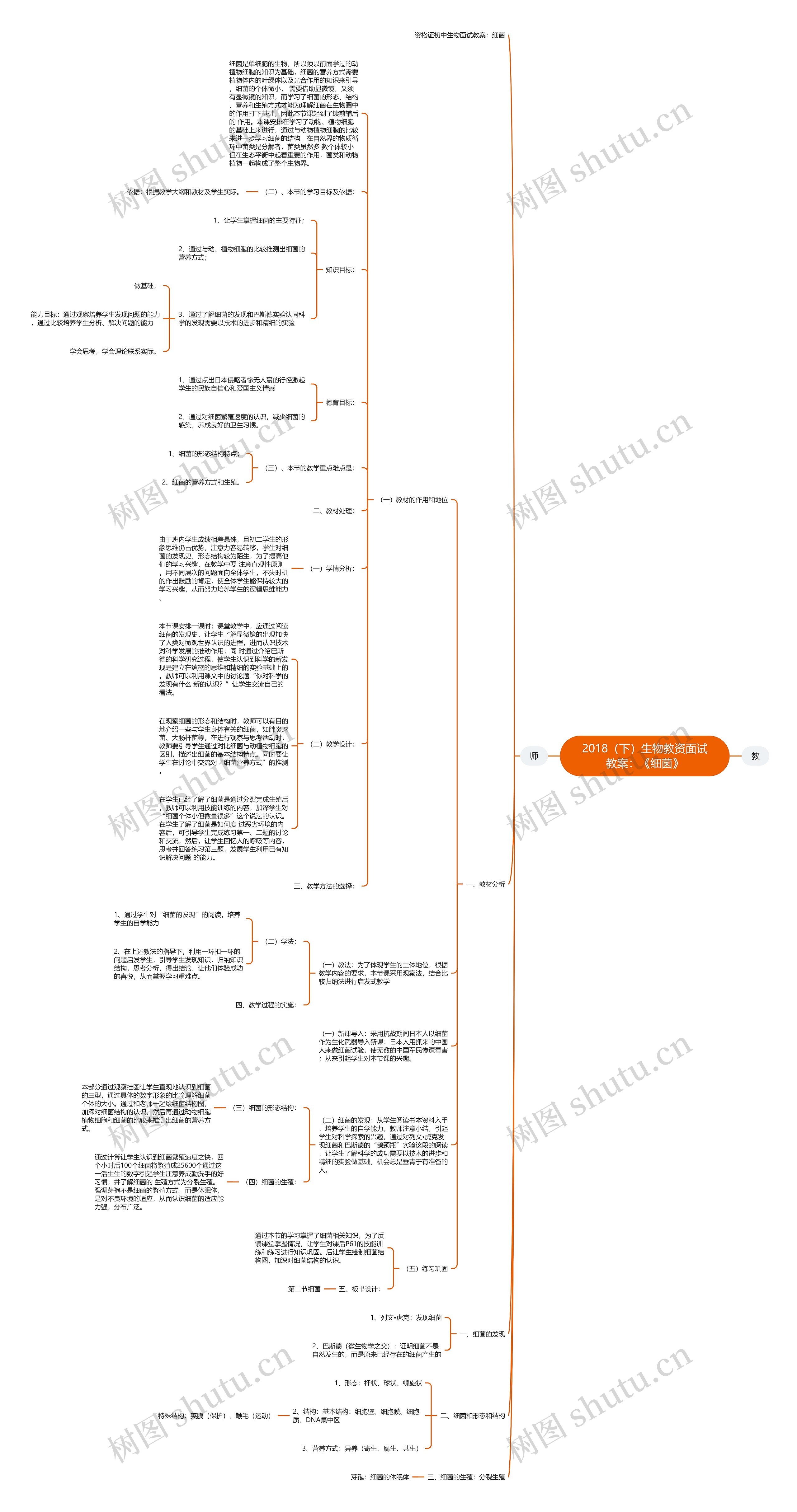 2018（下）生物教资面试教案：《细菌》思维导图