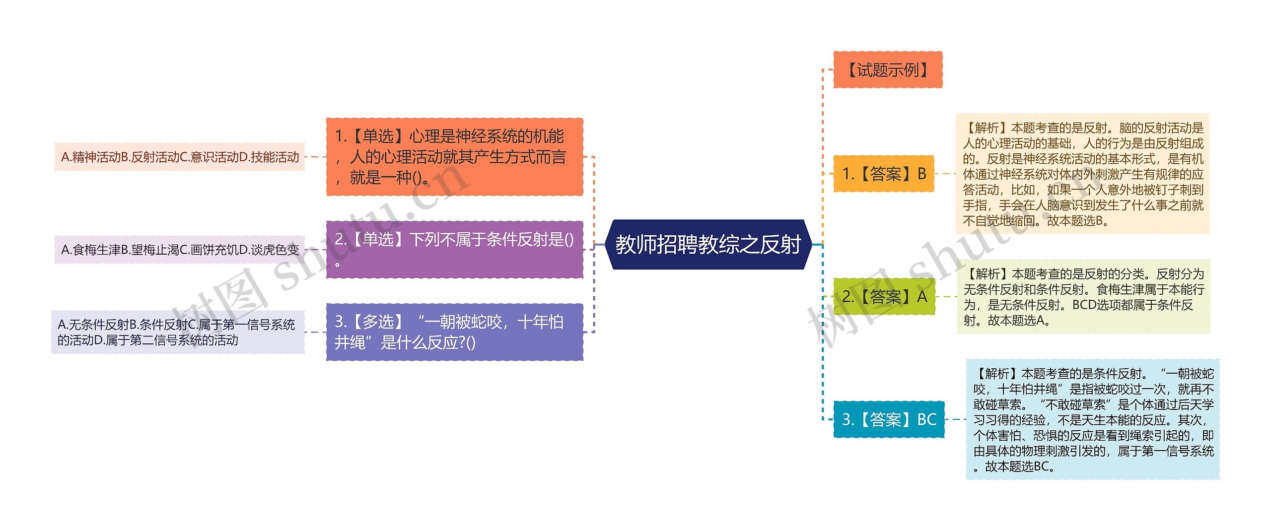 教师招聘教综之反射思维导图