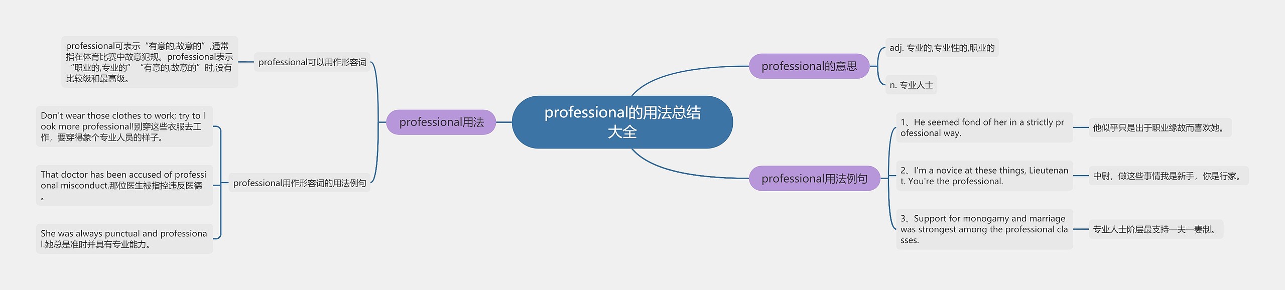 professional的用法总结大全