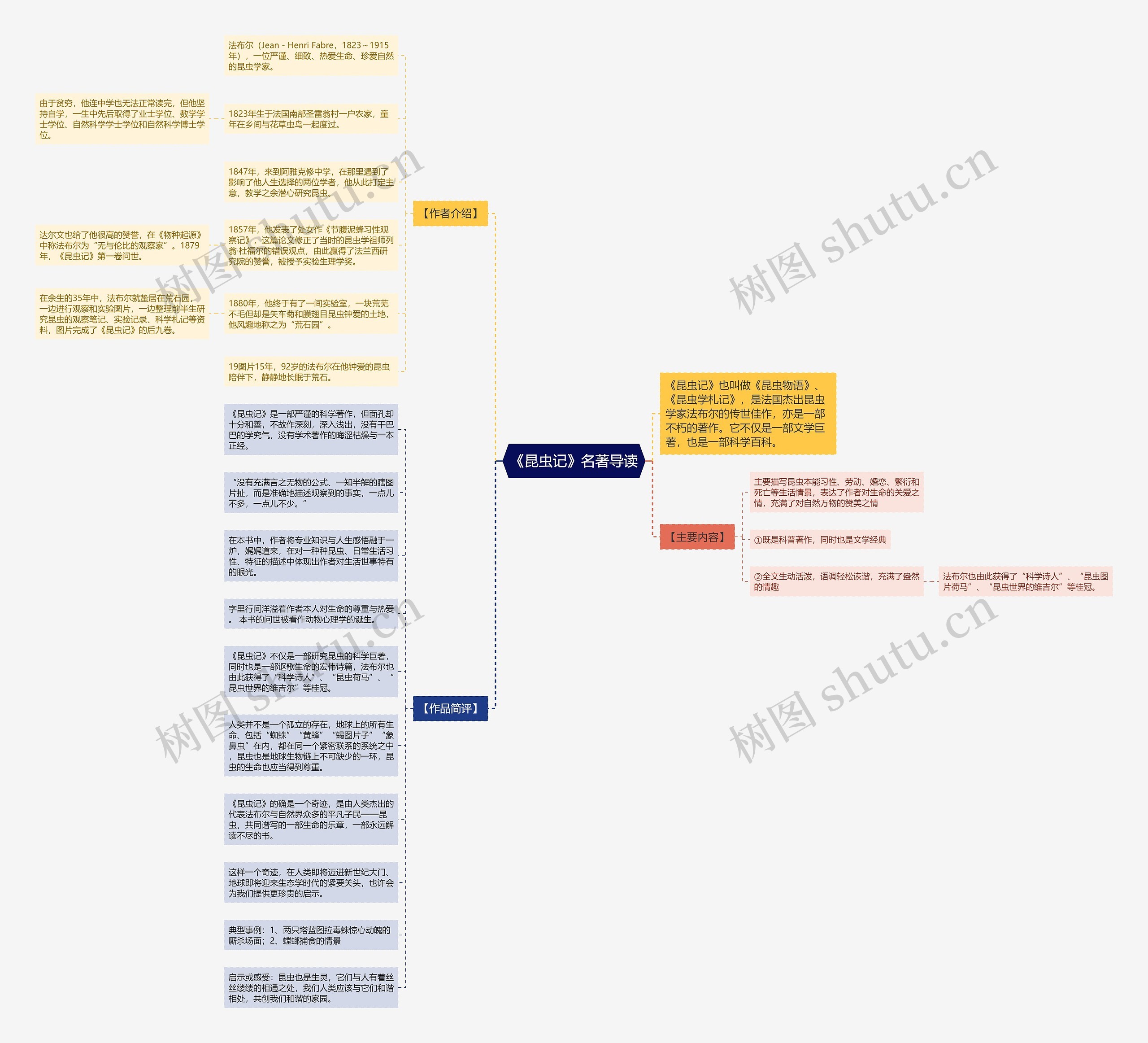 《昆虫记》名著导读思维导图