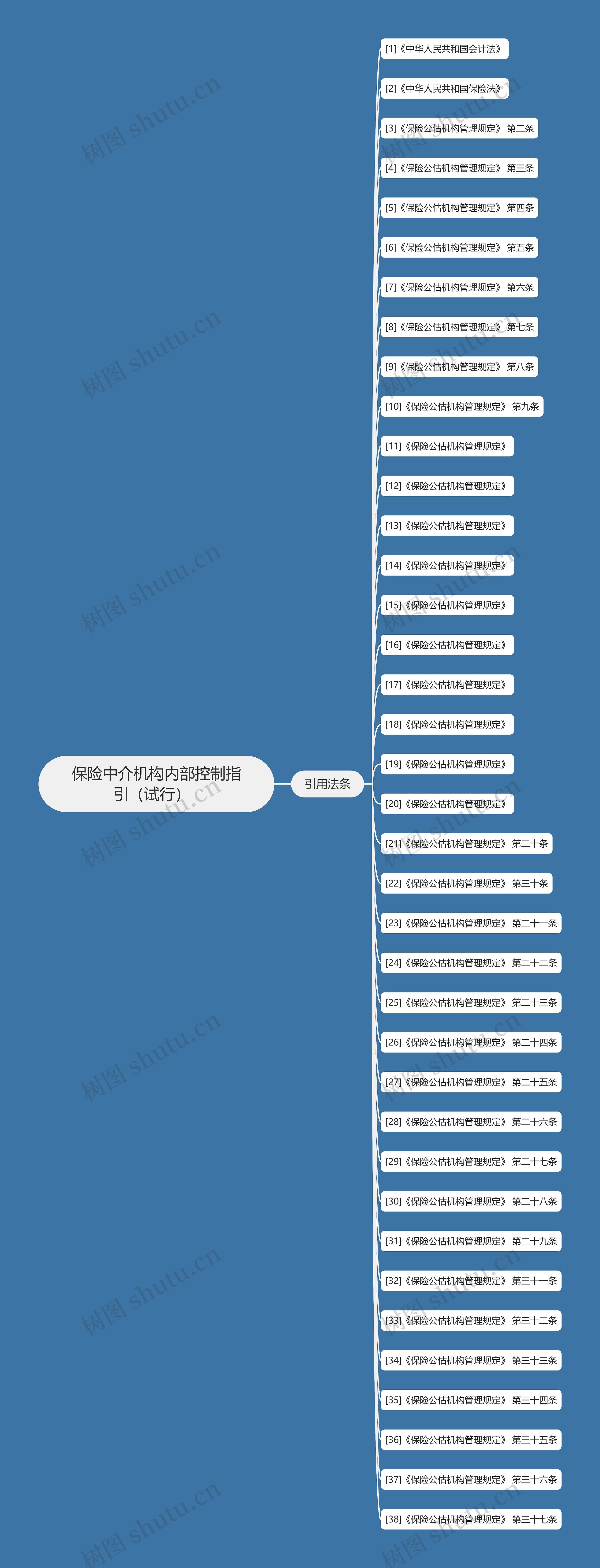 保险中介机构内部控制指引（试行）  思维导图