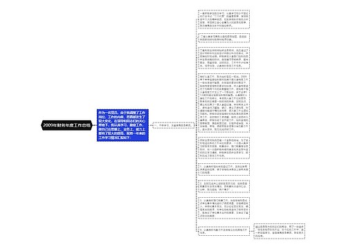 2009年财务年度工作总结