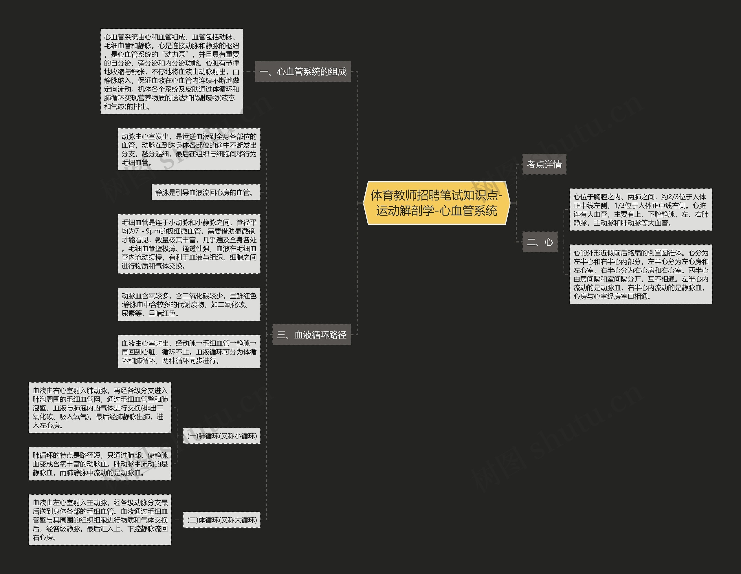 体育教师招聘笔试知识点-运动解剖学-心血管系统思维导图