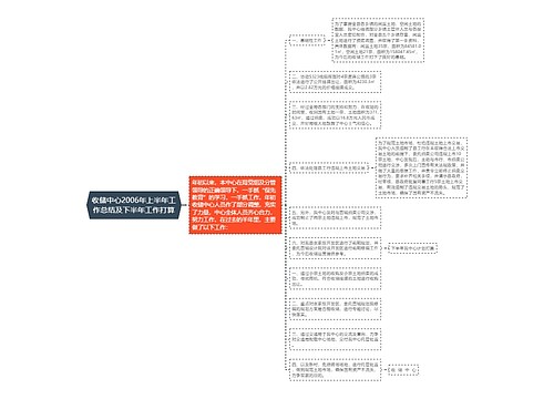 收储中心2006年上半年工作总结及下半年工作打算