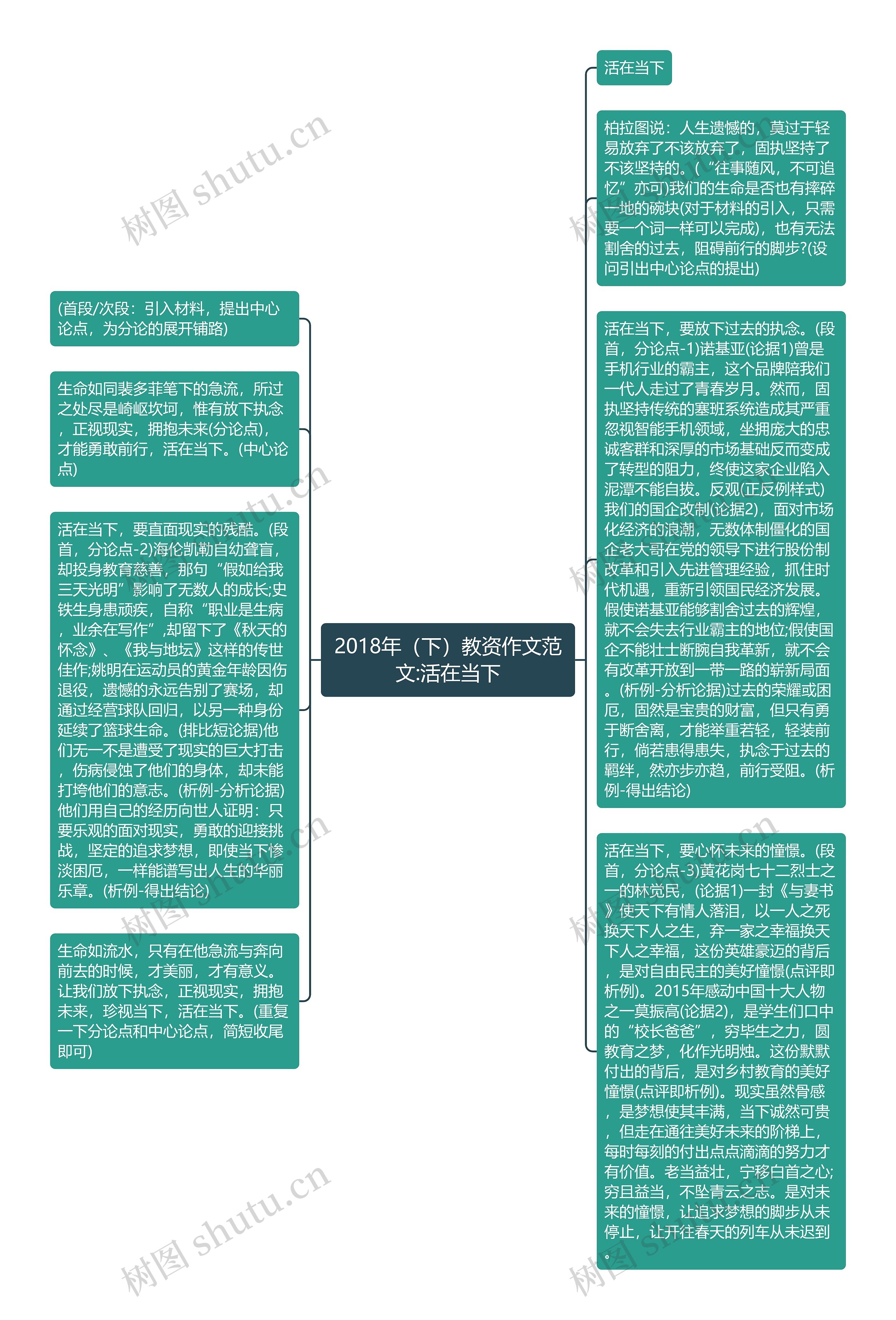 2018年（下）教资作文范文:活在当下思维导图