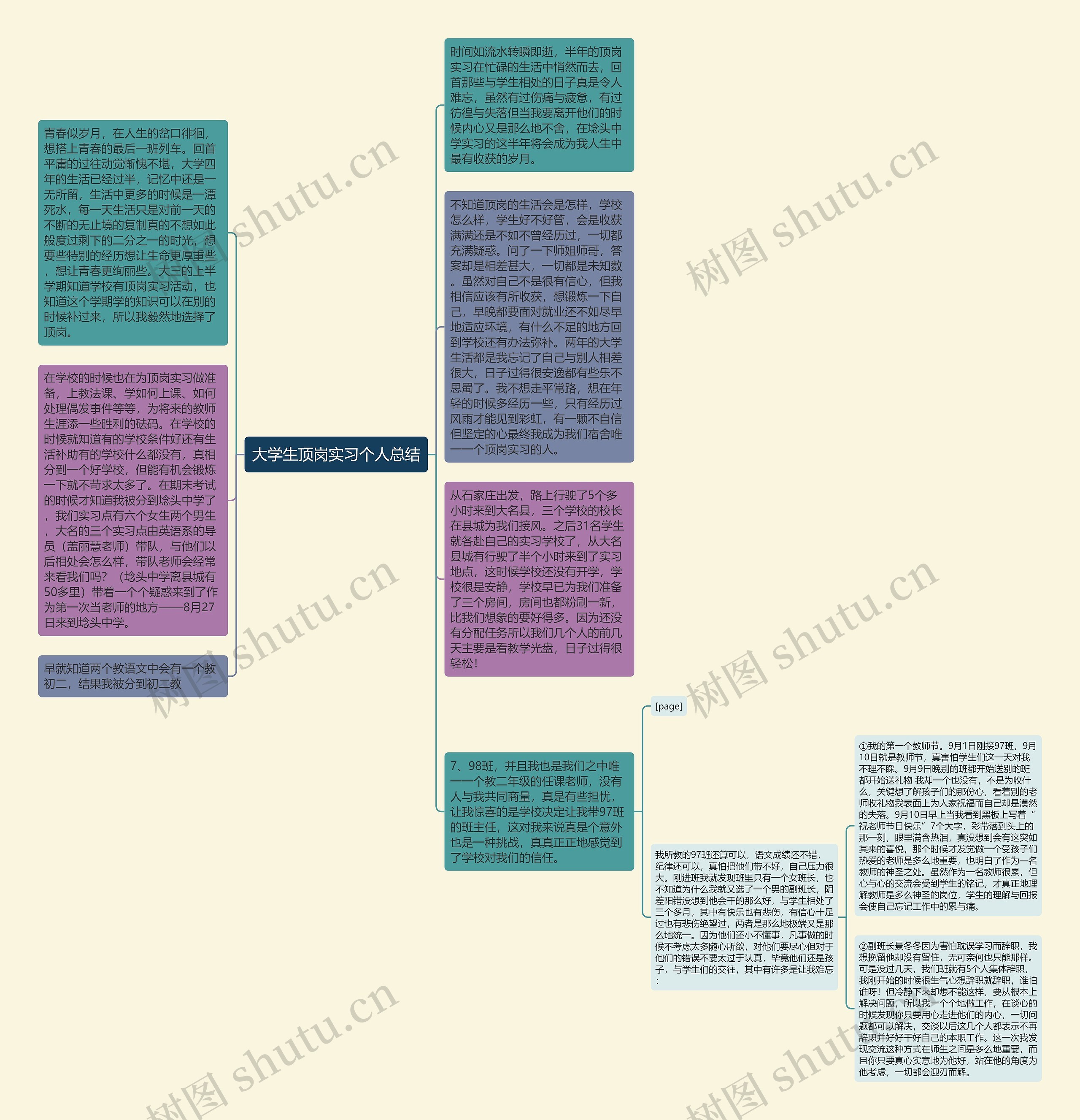 大学生顶岗实习个人总结思维导图