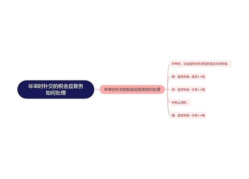 年审时补交的税金应账务如何处理