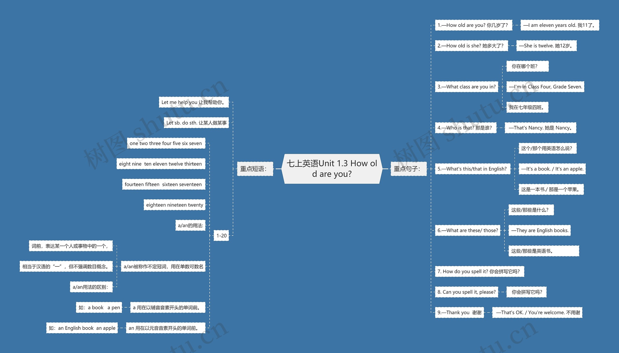 七上英语Unit 1.3 How old are you?