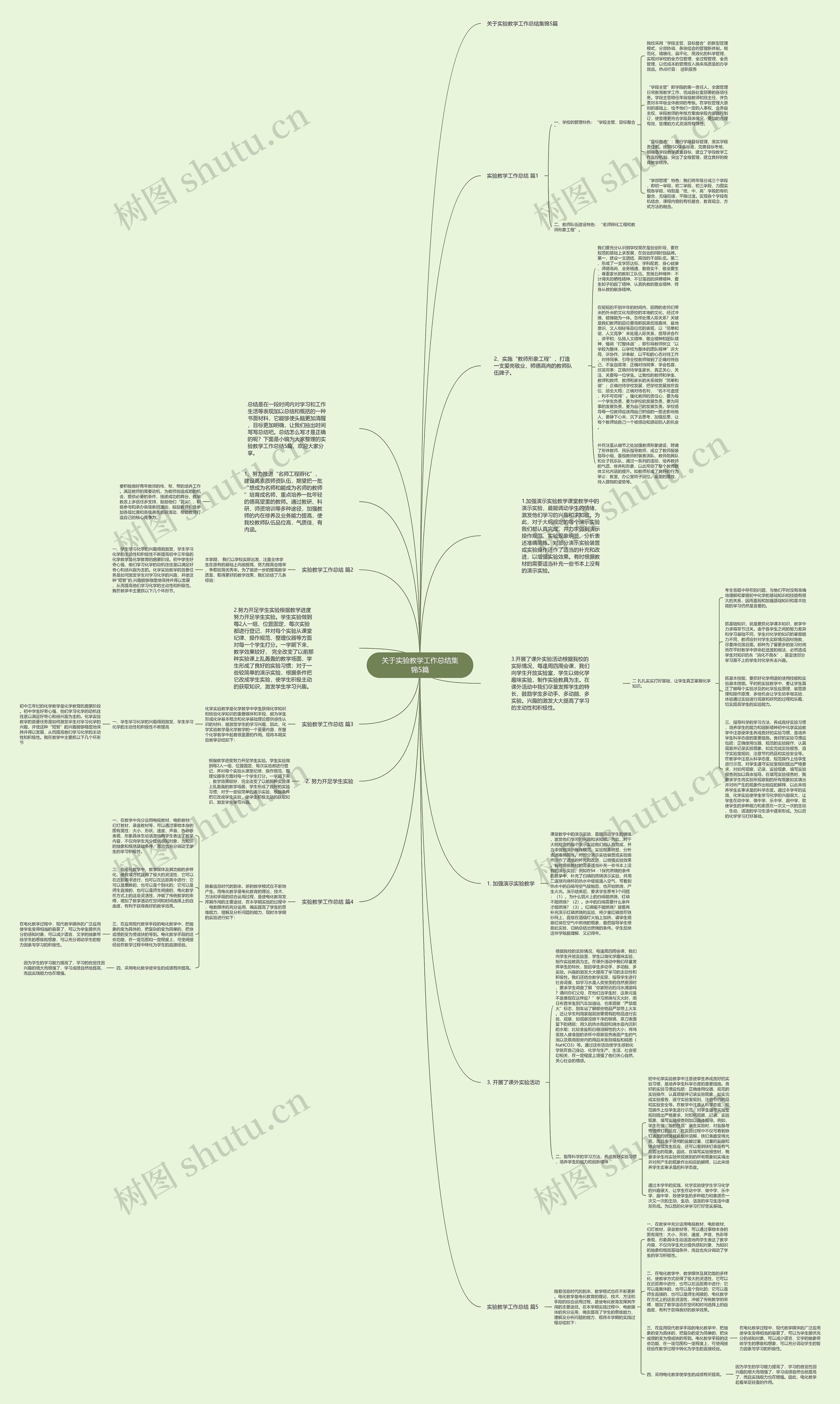 关于实验教学工作总结集锦5篇思维导图