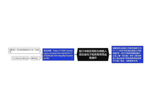 枝江市税务局新办纳税人湖北省电子税务局常用业务操作
