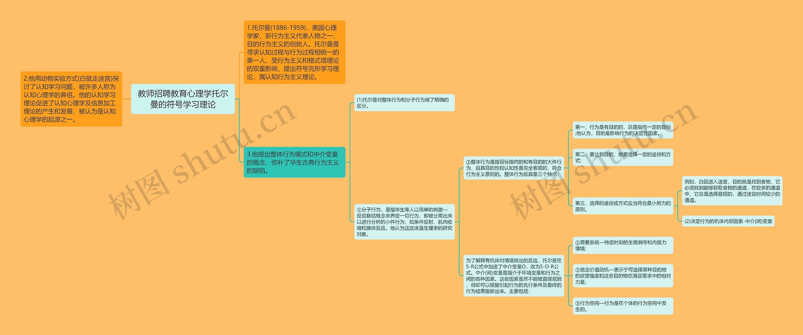 教师招聘教育心理学托尔曼的符号学习理论