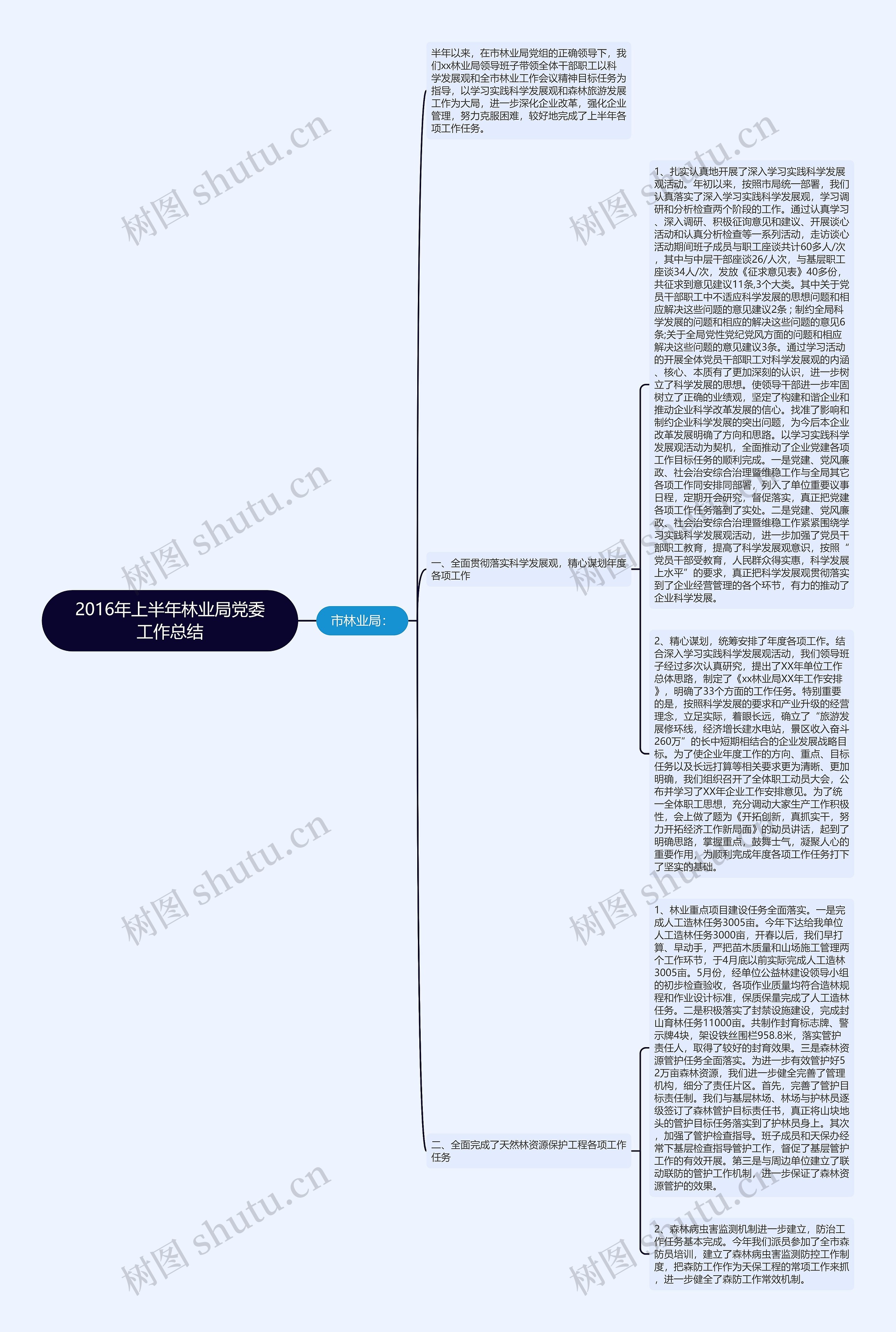 2016年上半年林业局党委工作总结思维导图