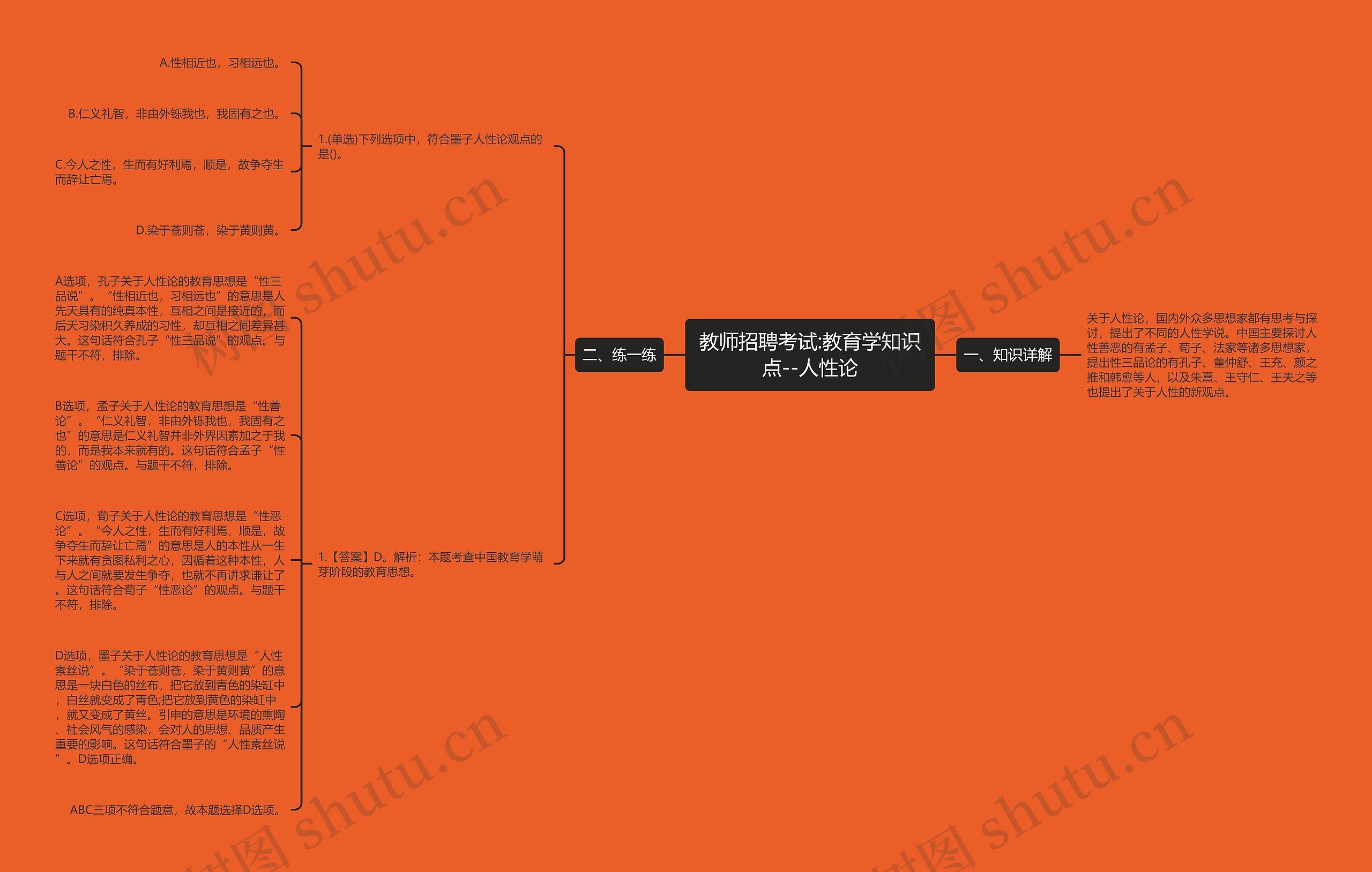 教师招聘考试:教育学知识点--人性论思维导图