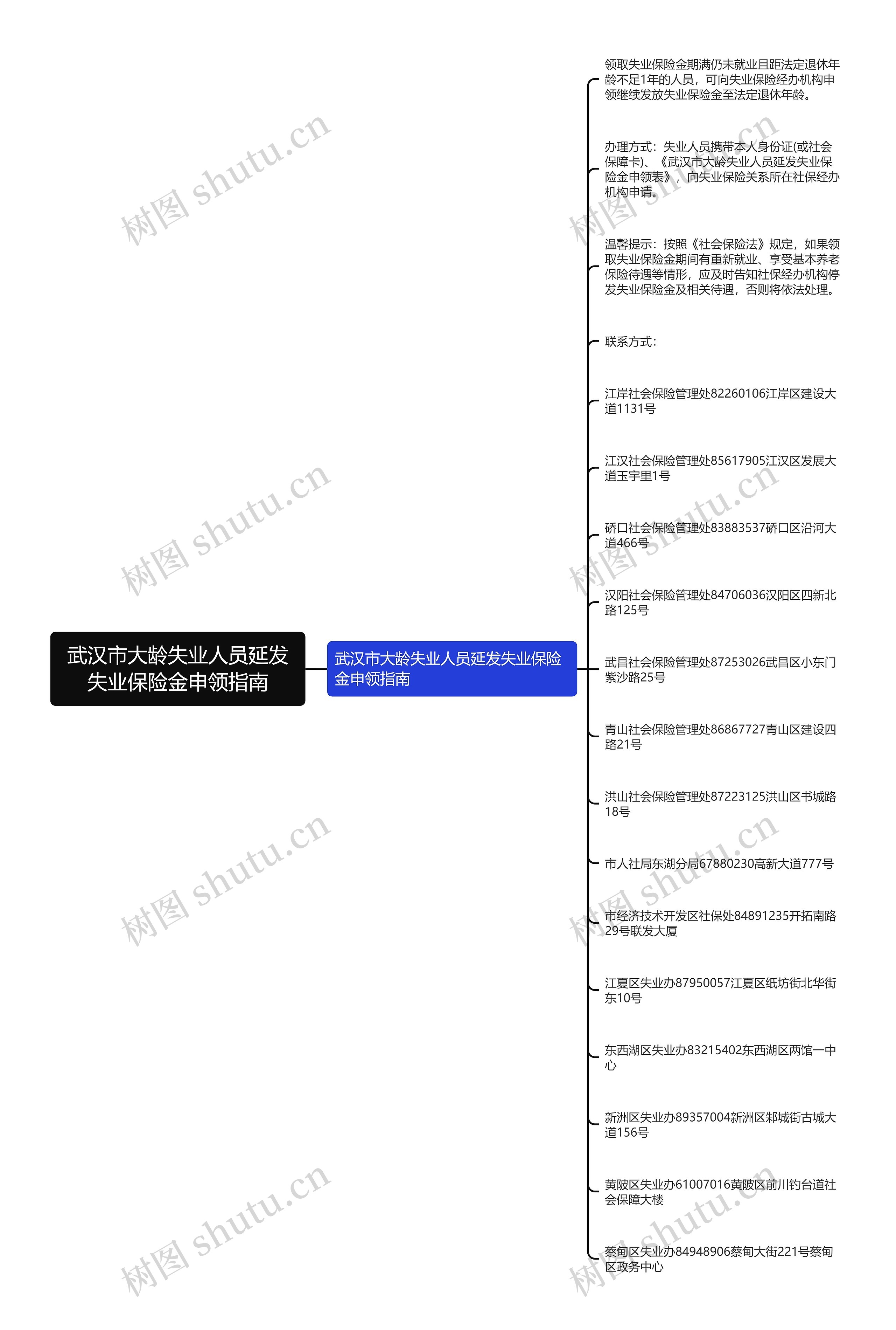 武汉市大龄失业人员延发失业保险金申领指南思维导图