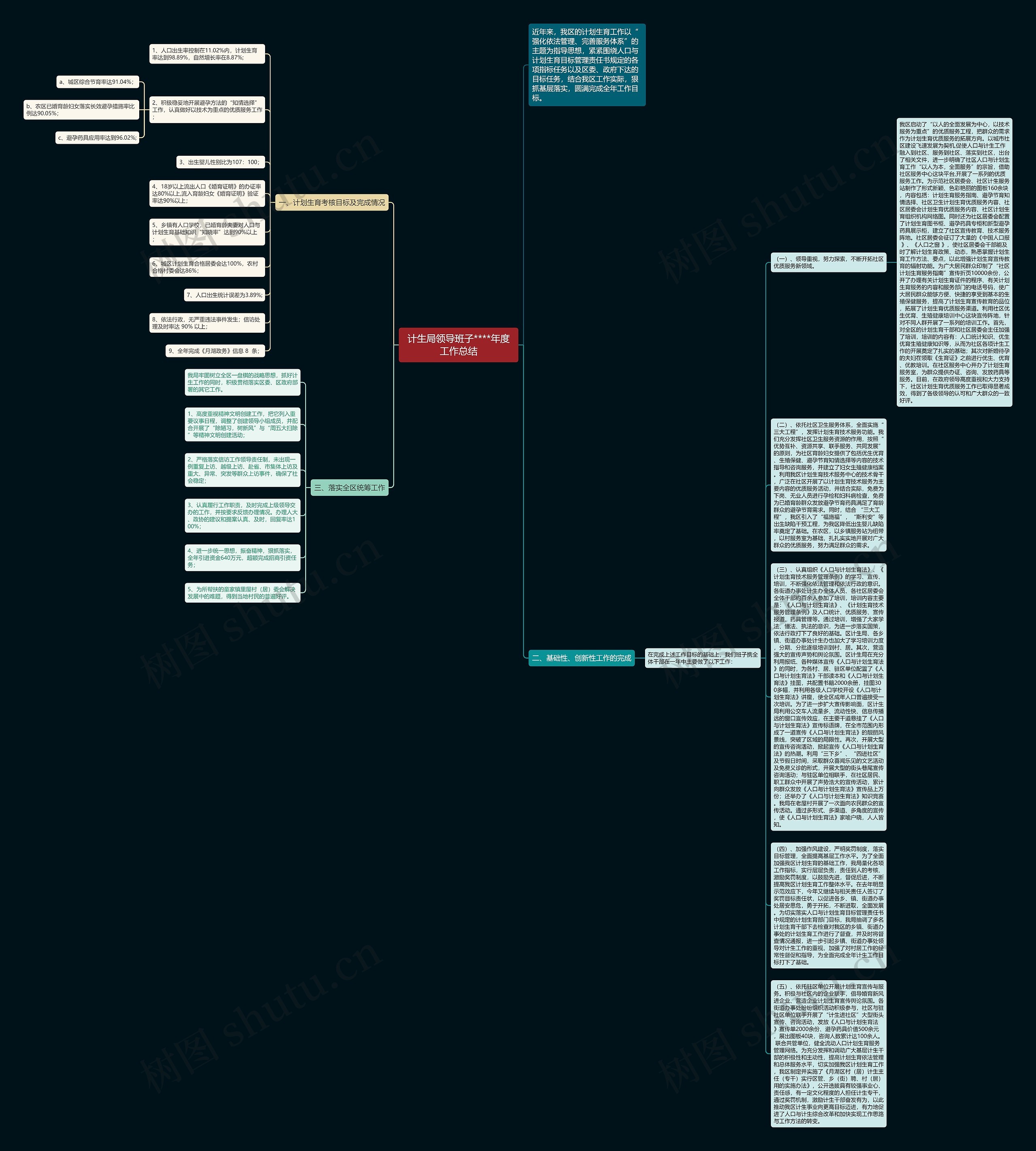 计生局领导班子****年度工作总结思维导图