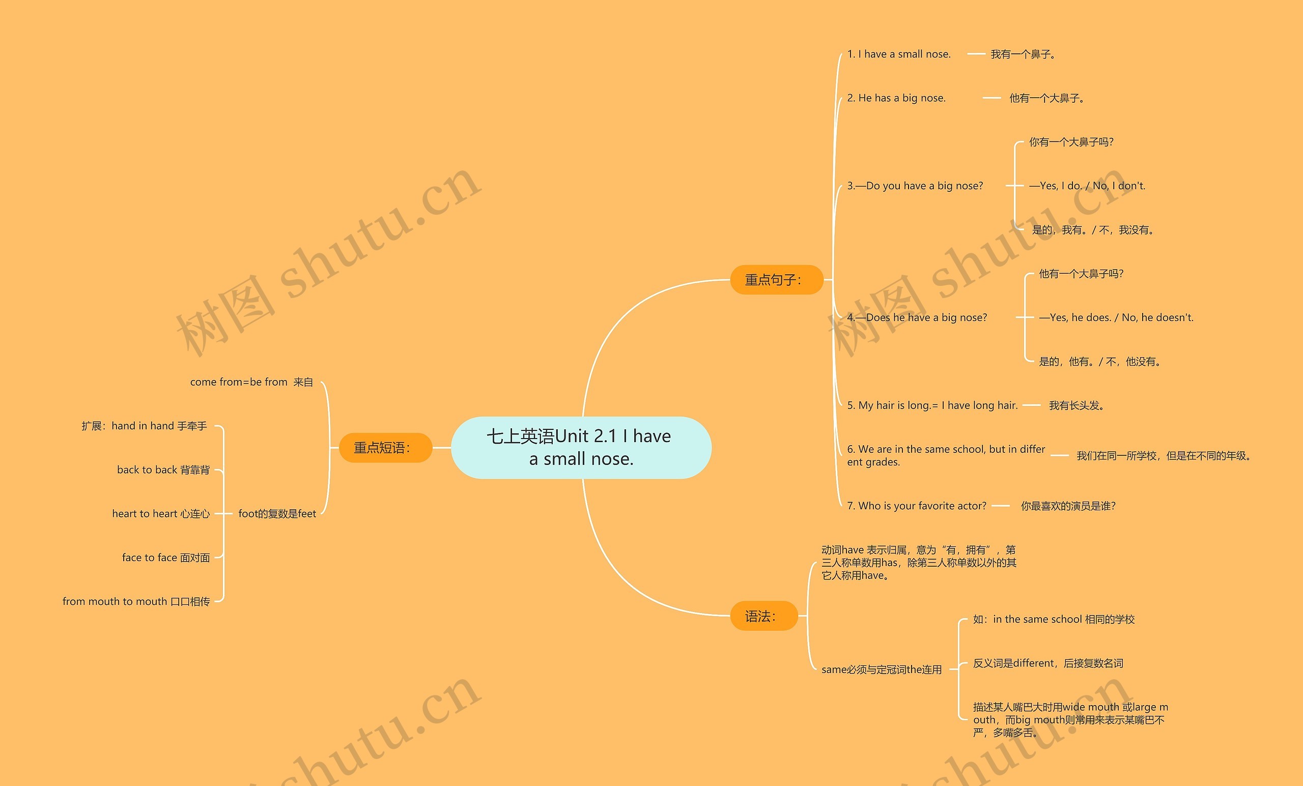 七上英语Unit 2.1 I have a small nose.思维导图