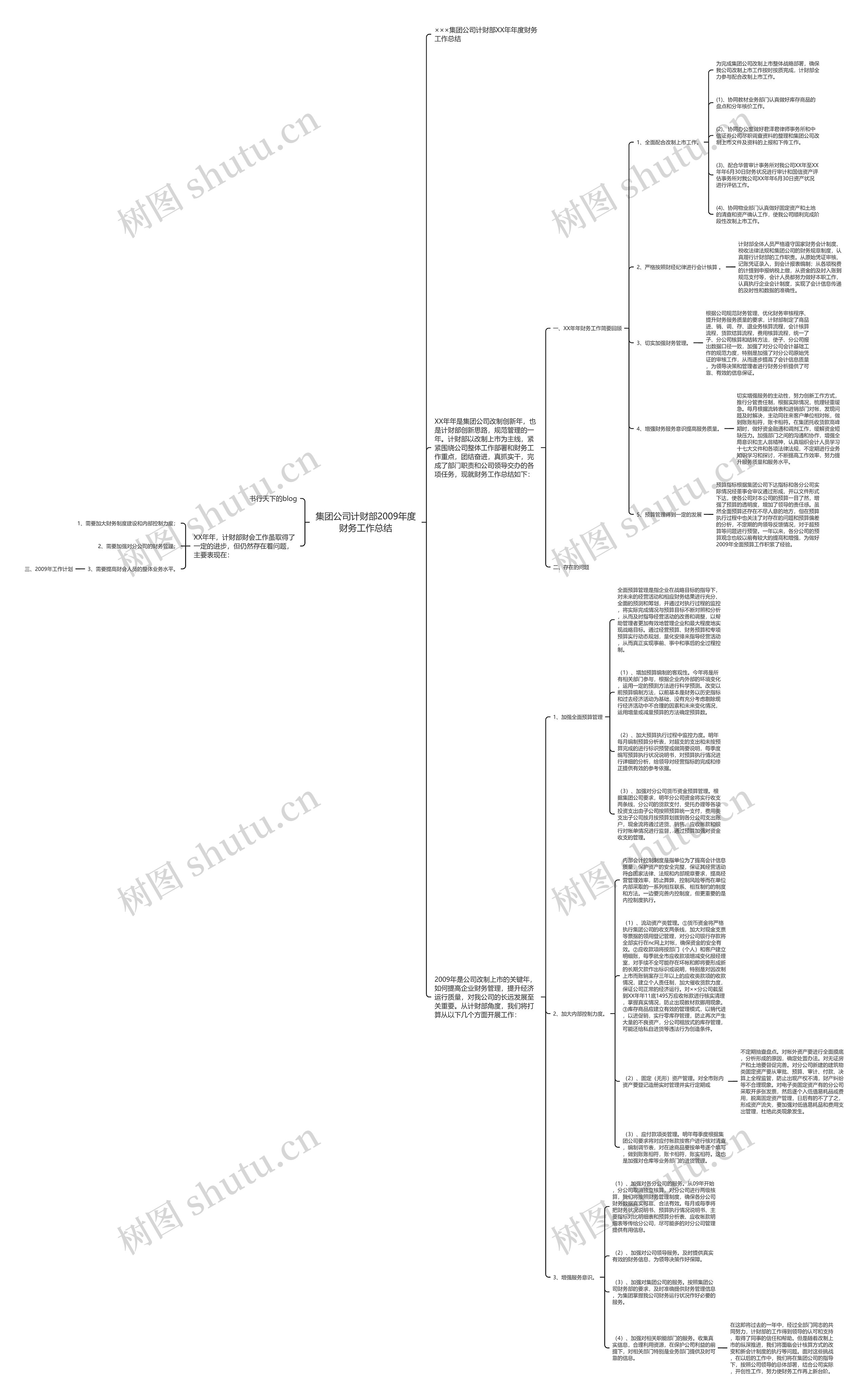 集团公司计财部2009年度财务工作总结