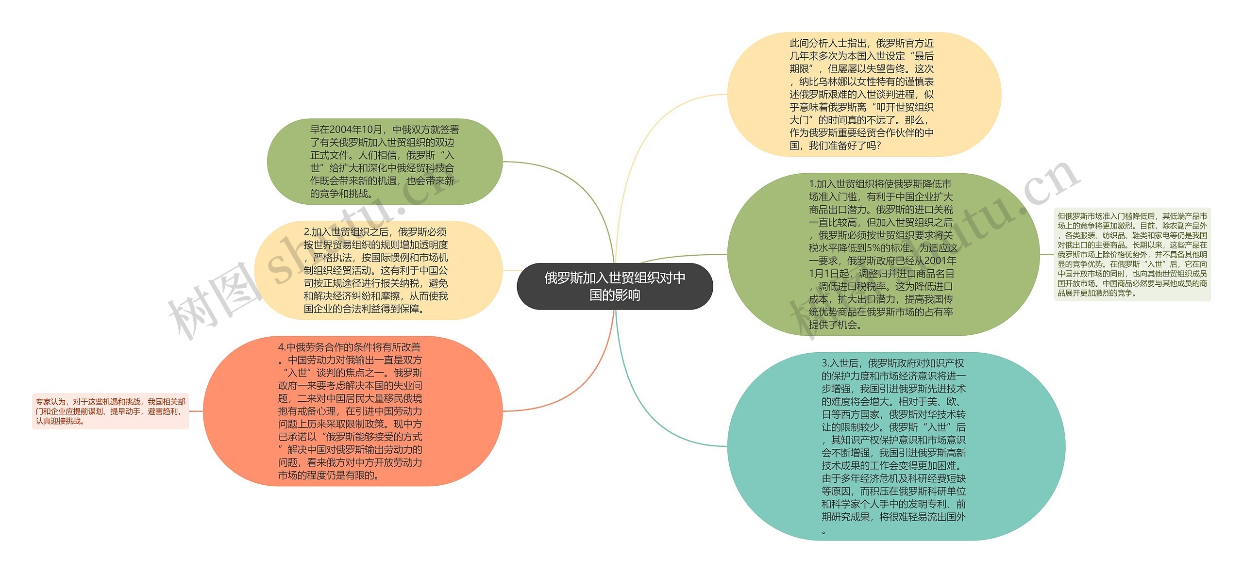 俄罗斯加入世贸组织对中国的影响