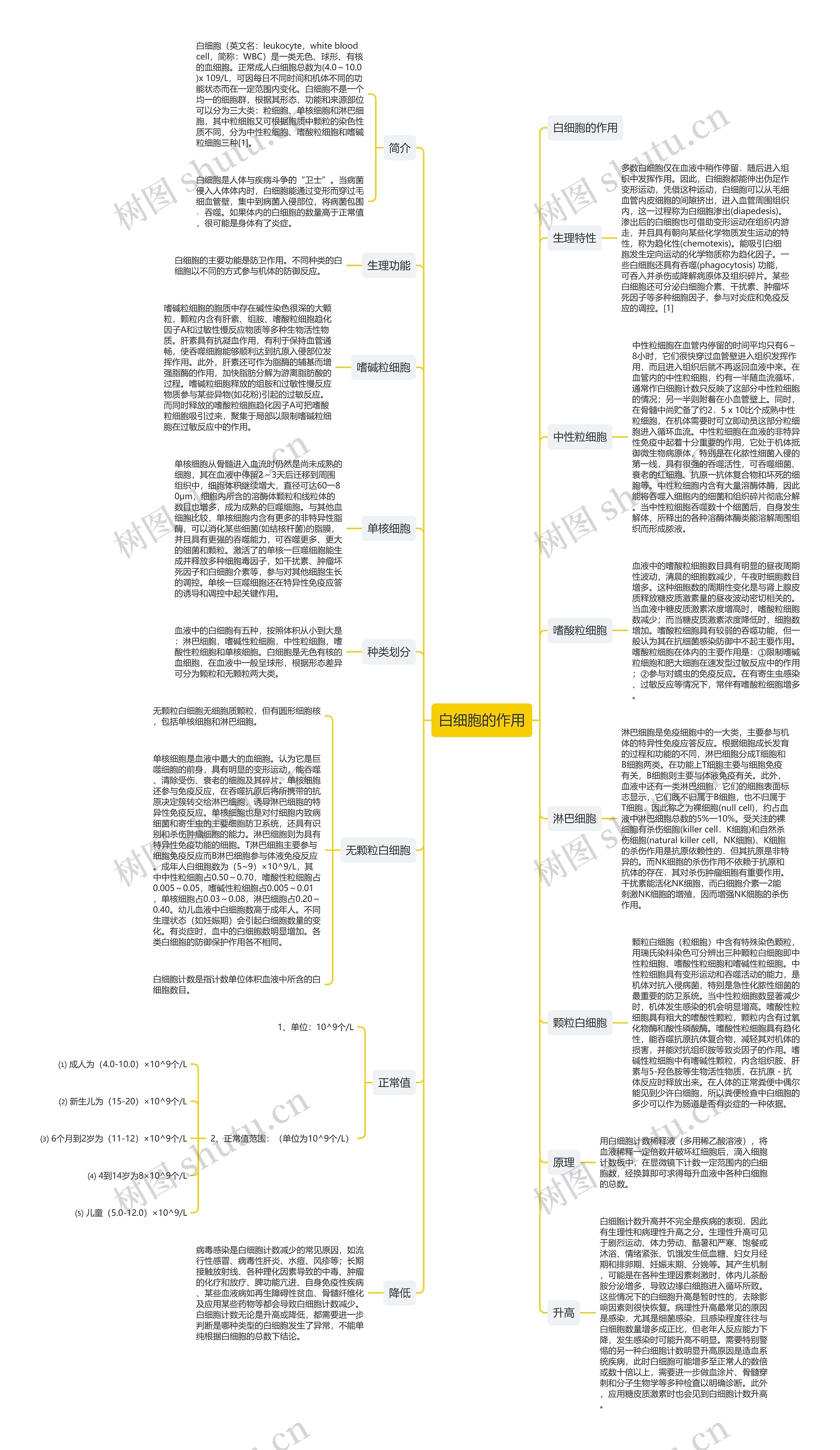 白细胞的作用思维导图