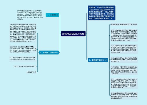 新教师见习期工作总结