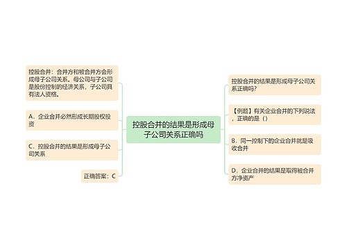 控股合并的结果是形成母子公司关系正确吗