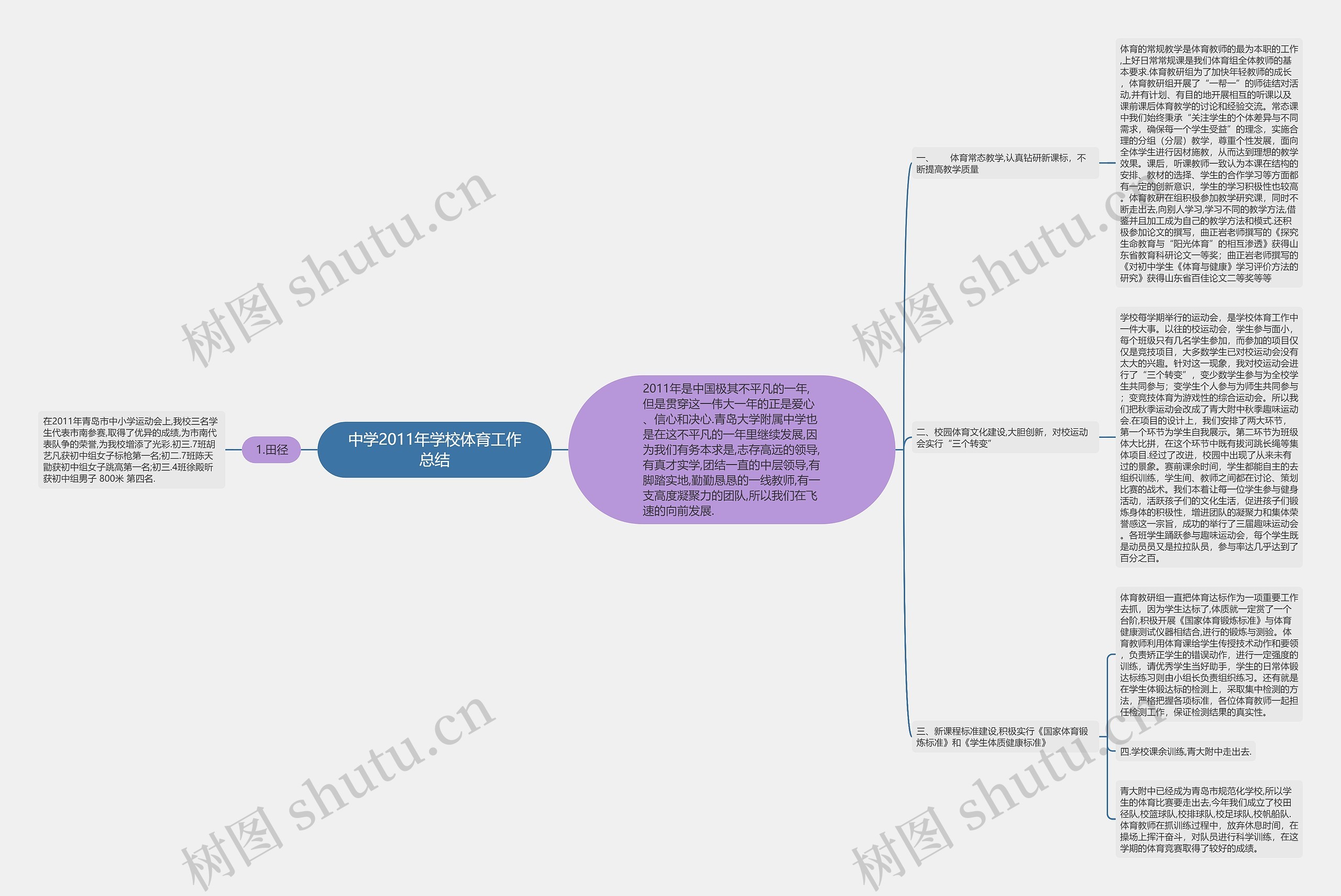 中学2011年学校体育工作总结思维导图