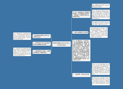 青年志愿者分会2012年上半年活动总结