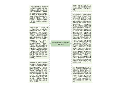 2009年英语老师个人专业发展总结