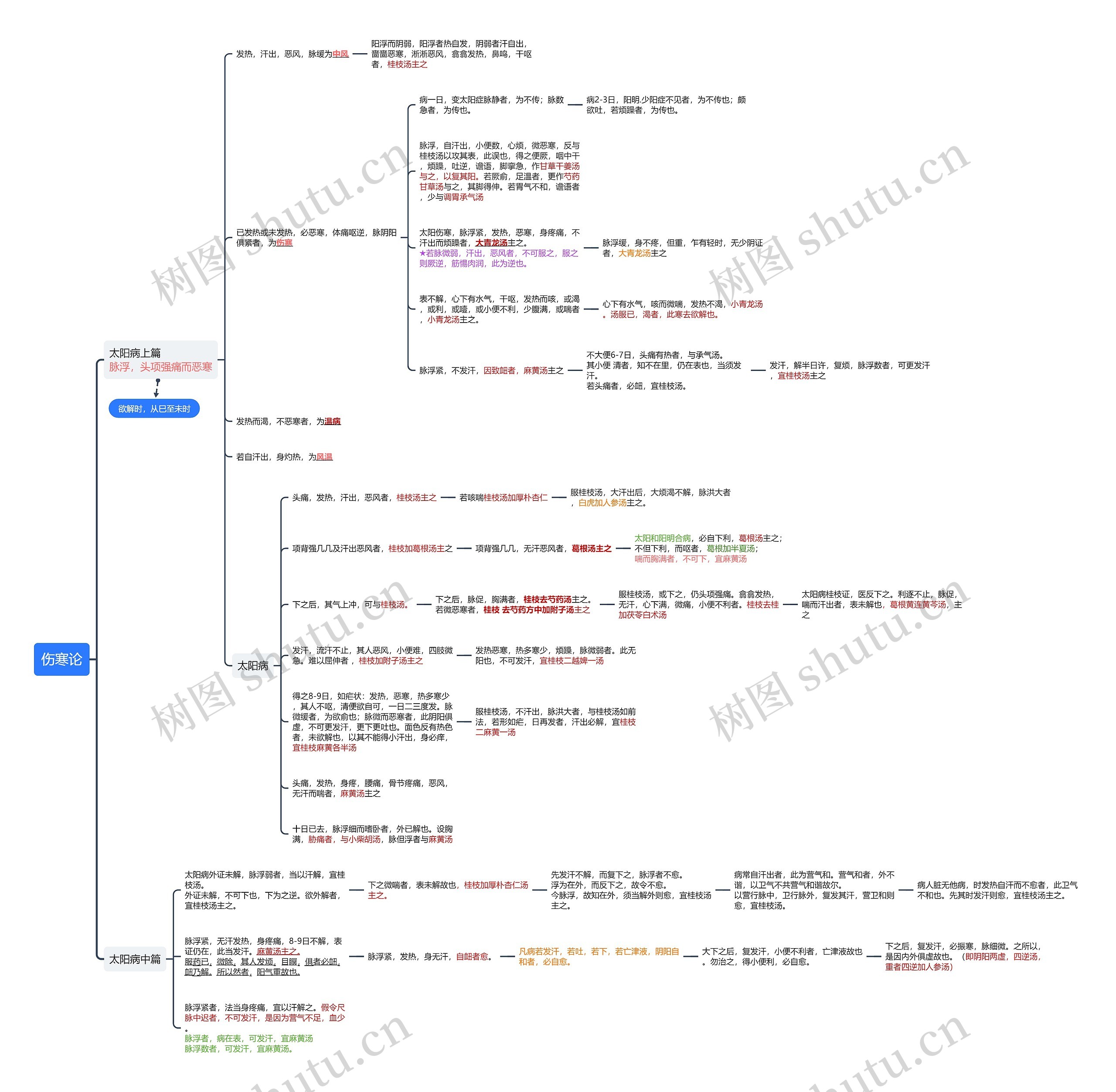 伤寒论思维导图高清图 伤寒论思维导图