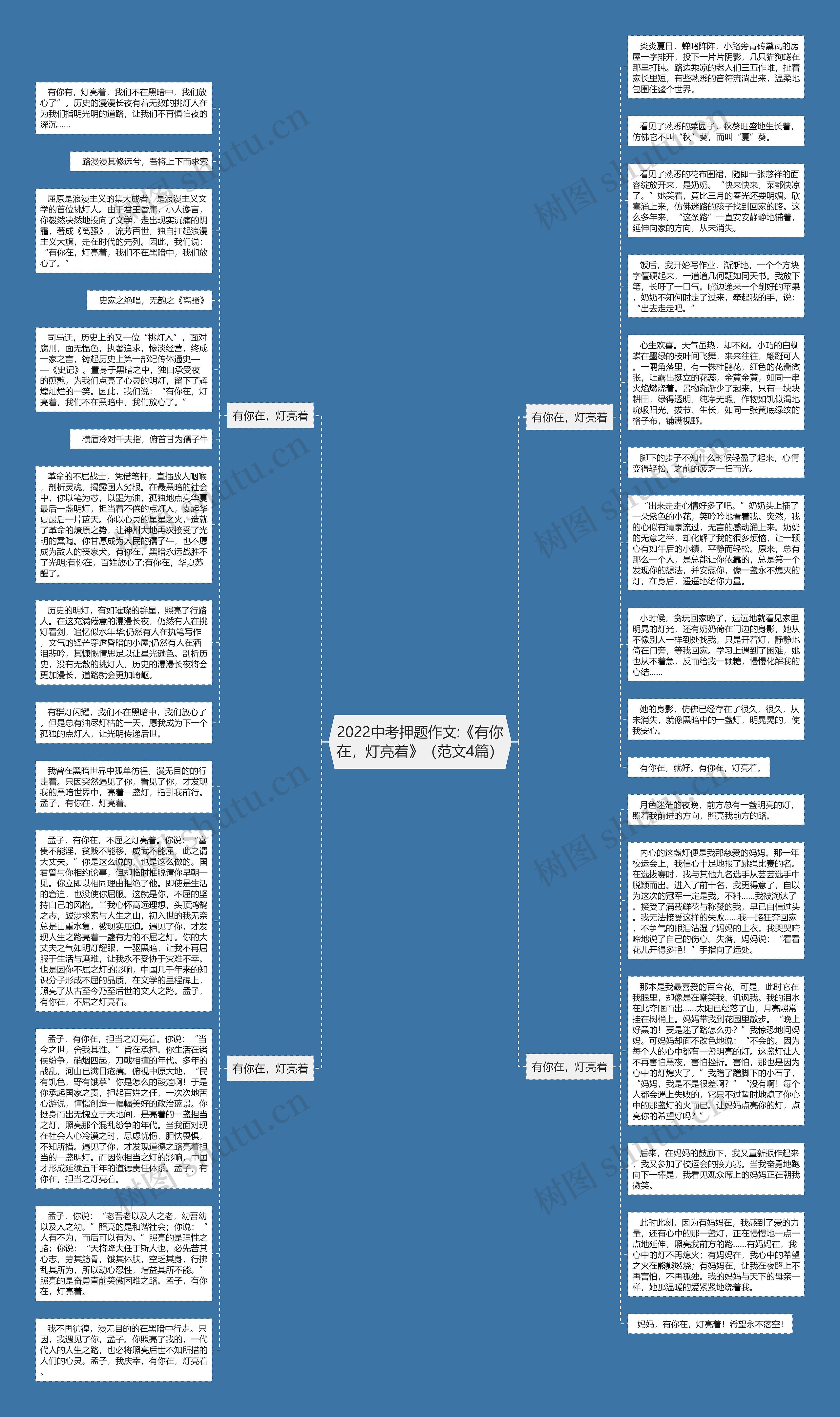 2022中考押题作文:《有你在，灯亮着》（范文4篇）思维导图