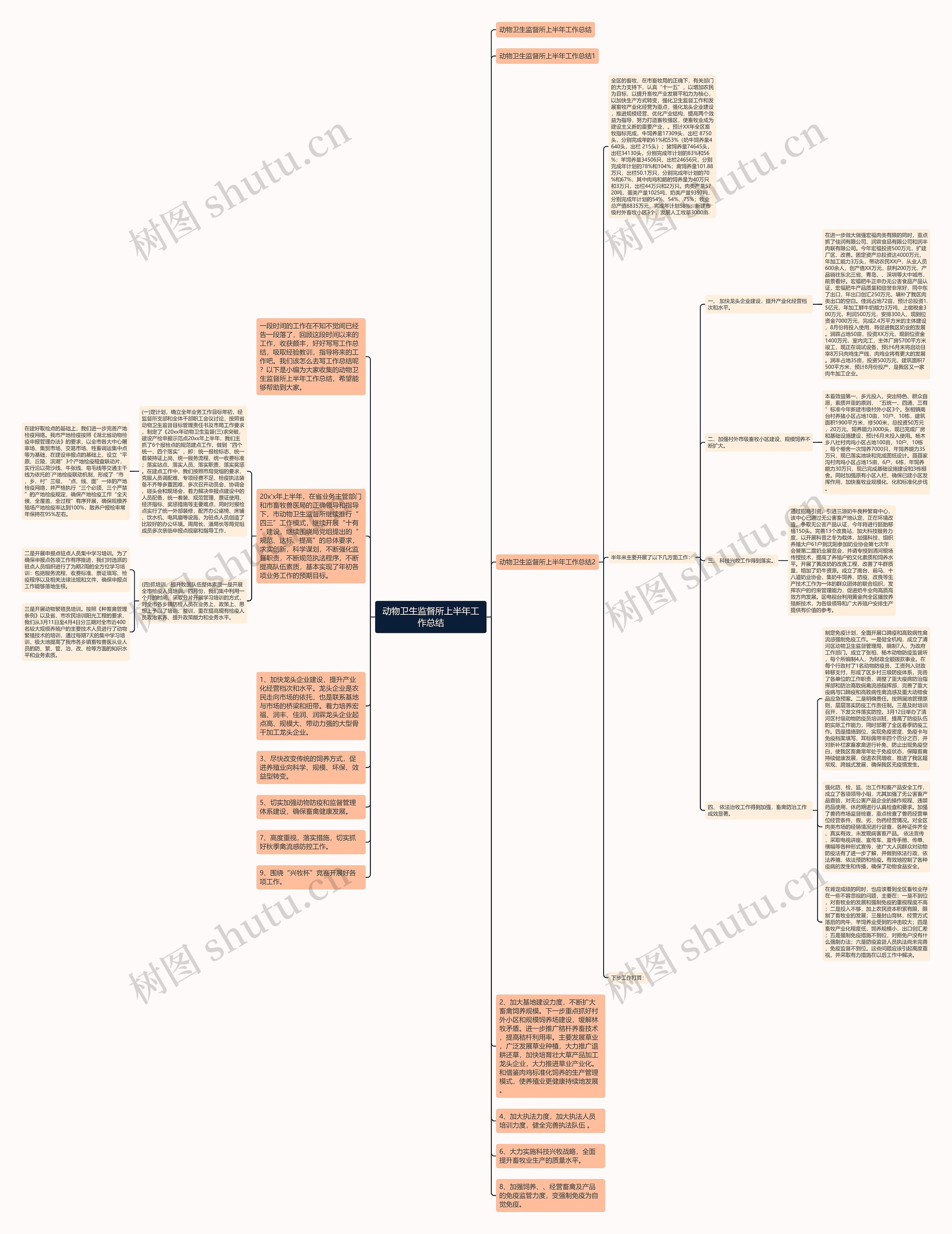 动物卫生监督所上半年工作总结思维导图