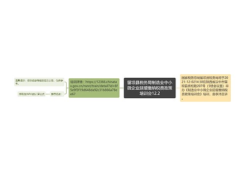 留坝县税务局制造业中小微企业延缓缴纳税费政策培训会12.2