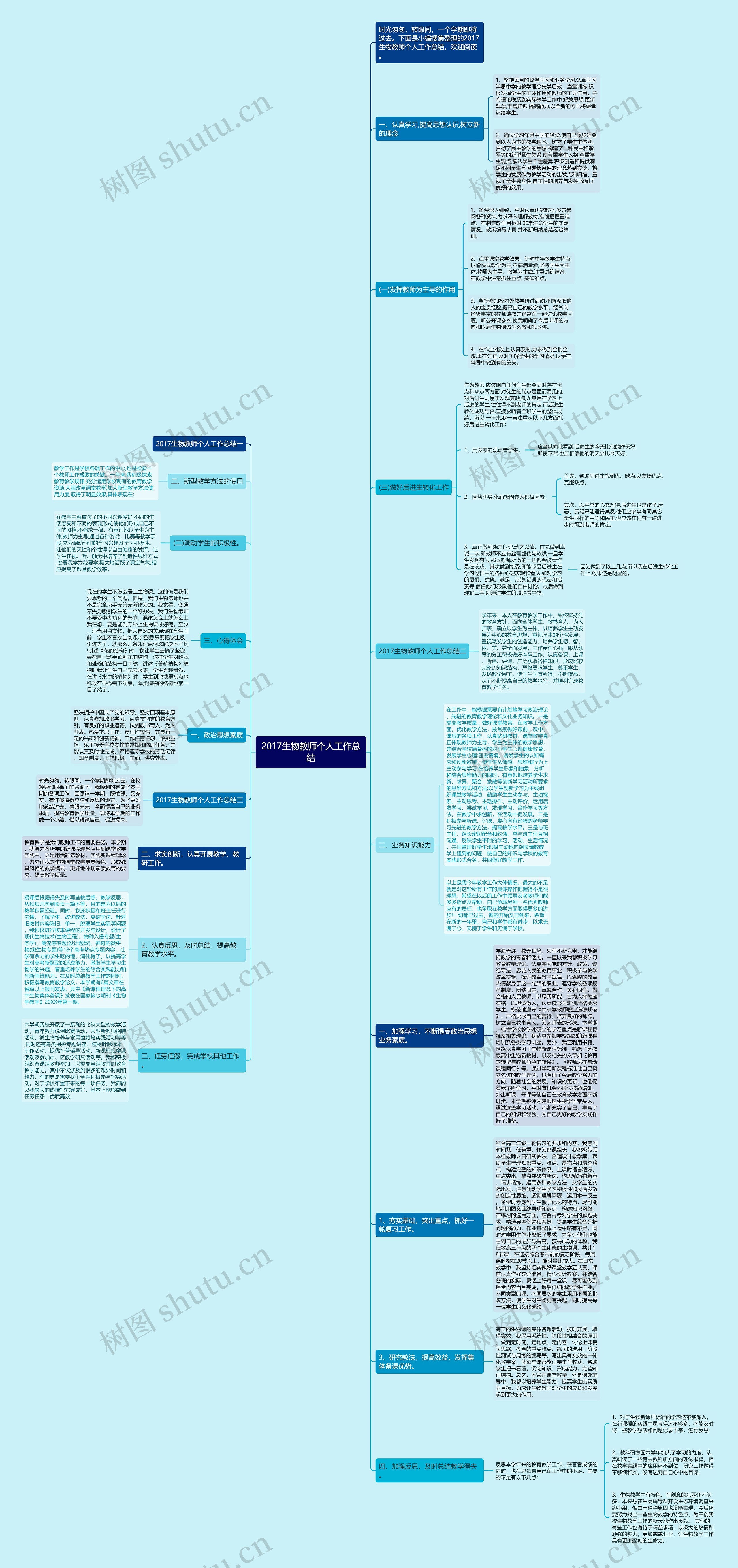 2017生物教师个人工作总结思维导图