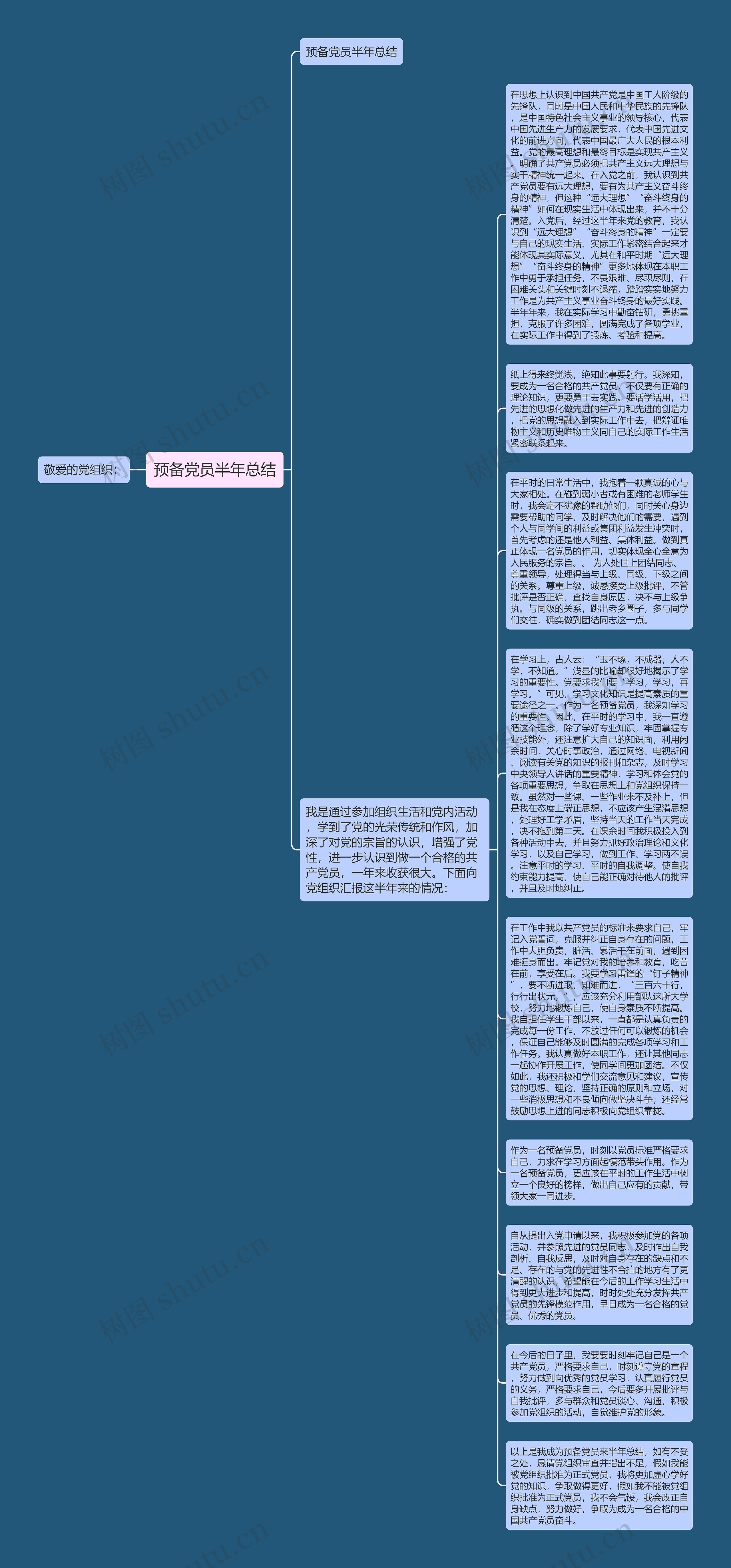 预备党员半年总结