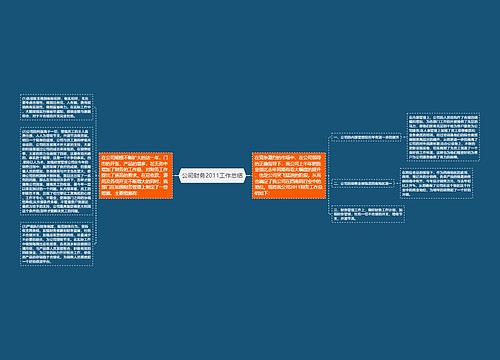 公司财务2011工作总结