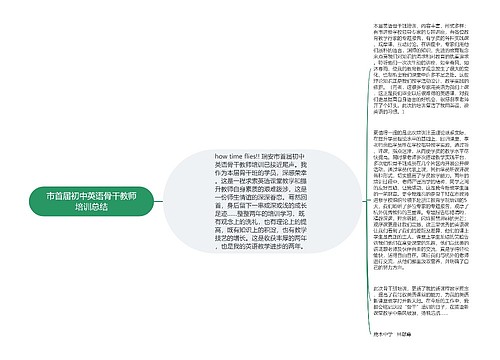 市首届初中英语骨干教师培训总结