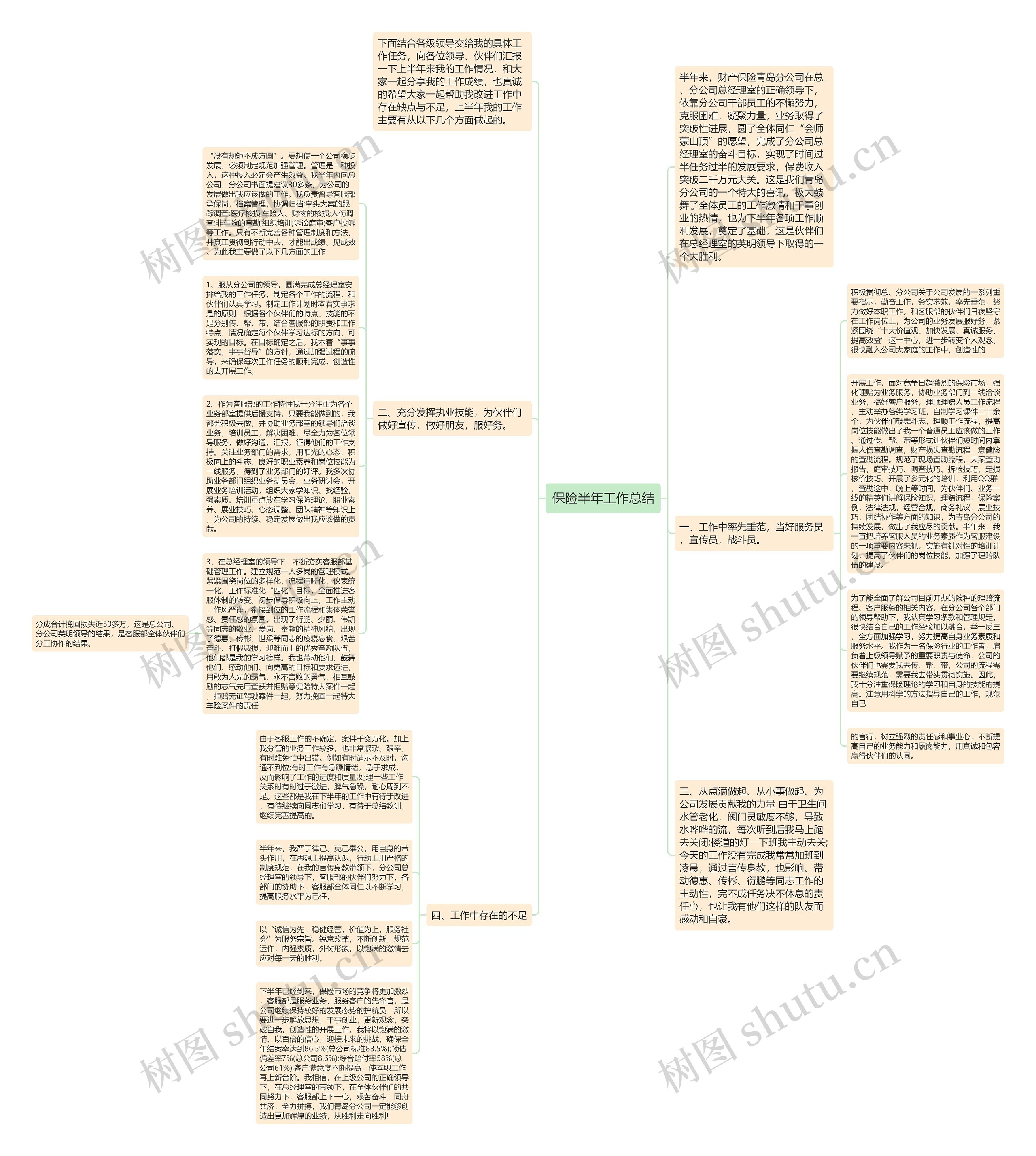 保险半年工作总结思维导图