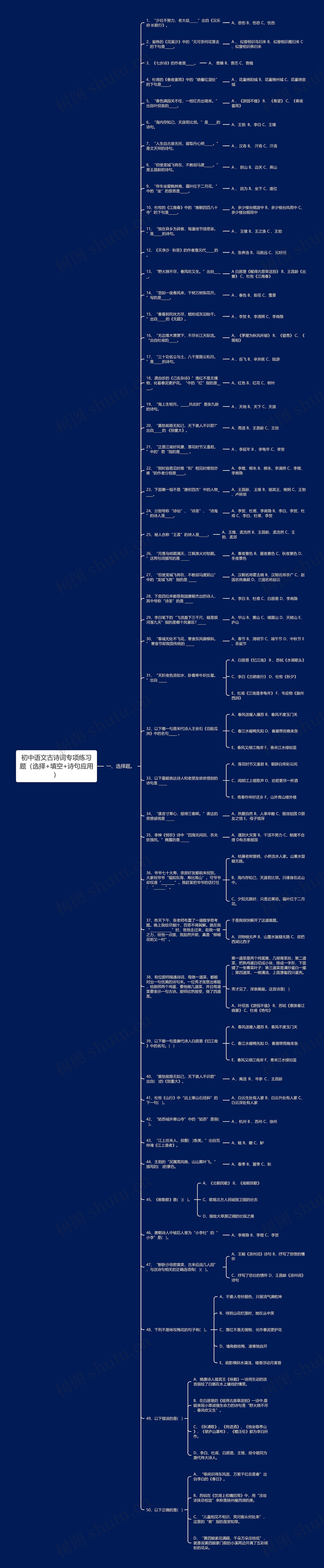 初中语文古诗词专项练习题（选择+填空+诗句应用）思维导图