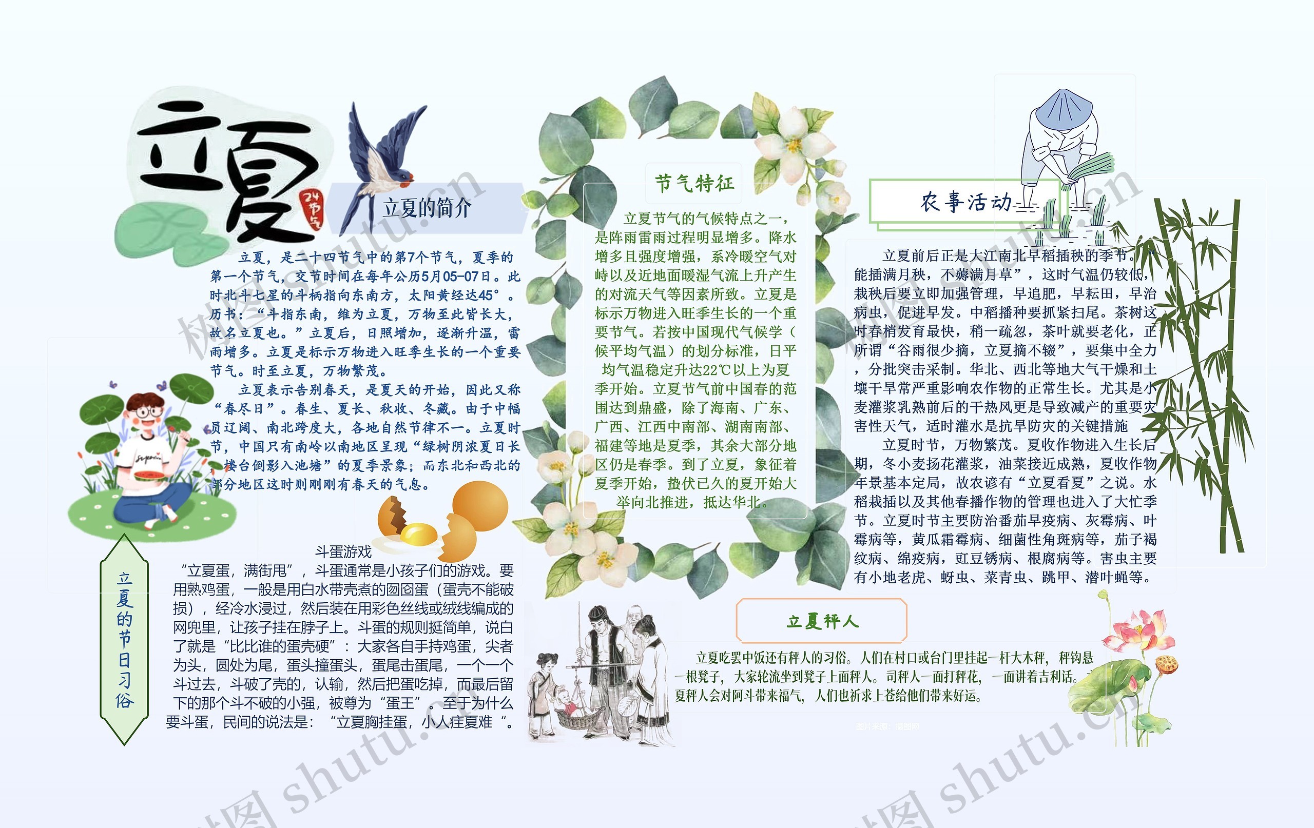 立夏手抄报思维导图高清图 立夏手抄报思维导图