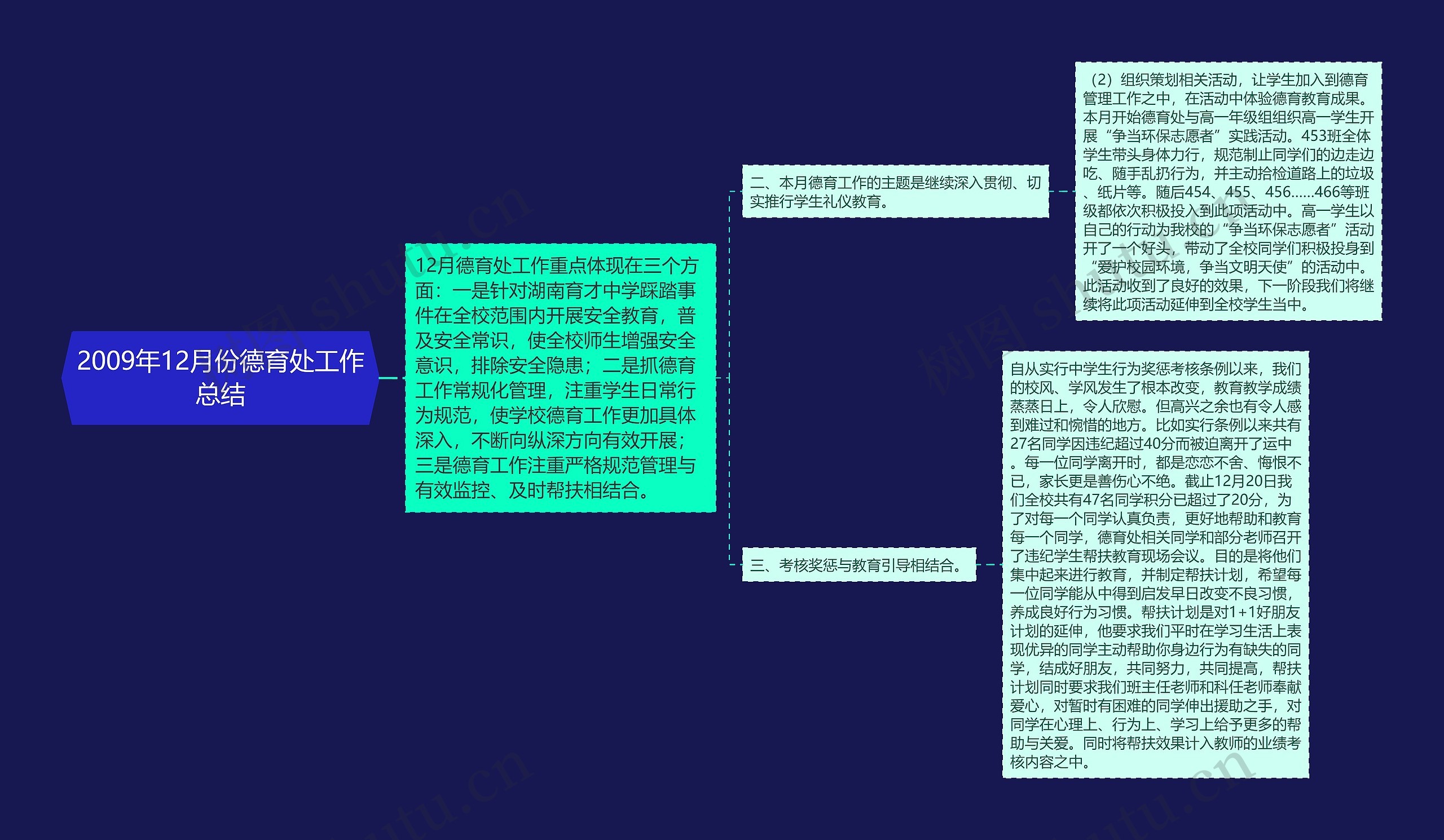 2009年12月份德育处工作总结