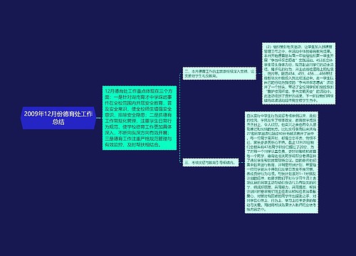 2009年12月份德育处工作总结