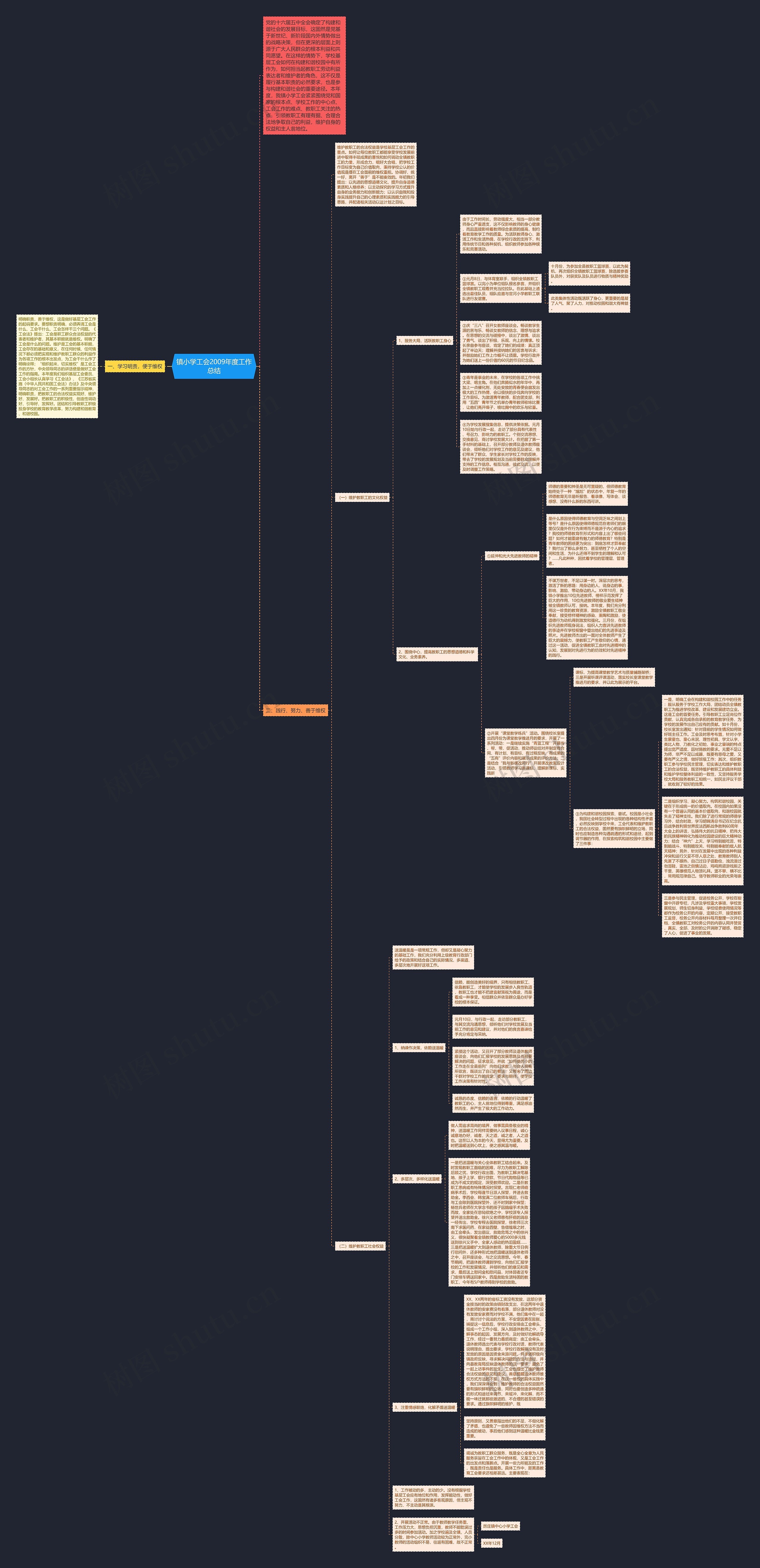 镇小学工会2009年度工作总结思维导图