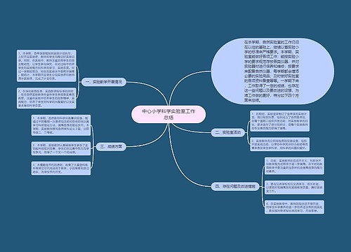 中心小学科学实验室工作总结