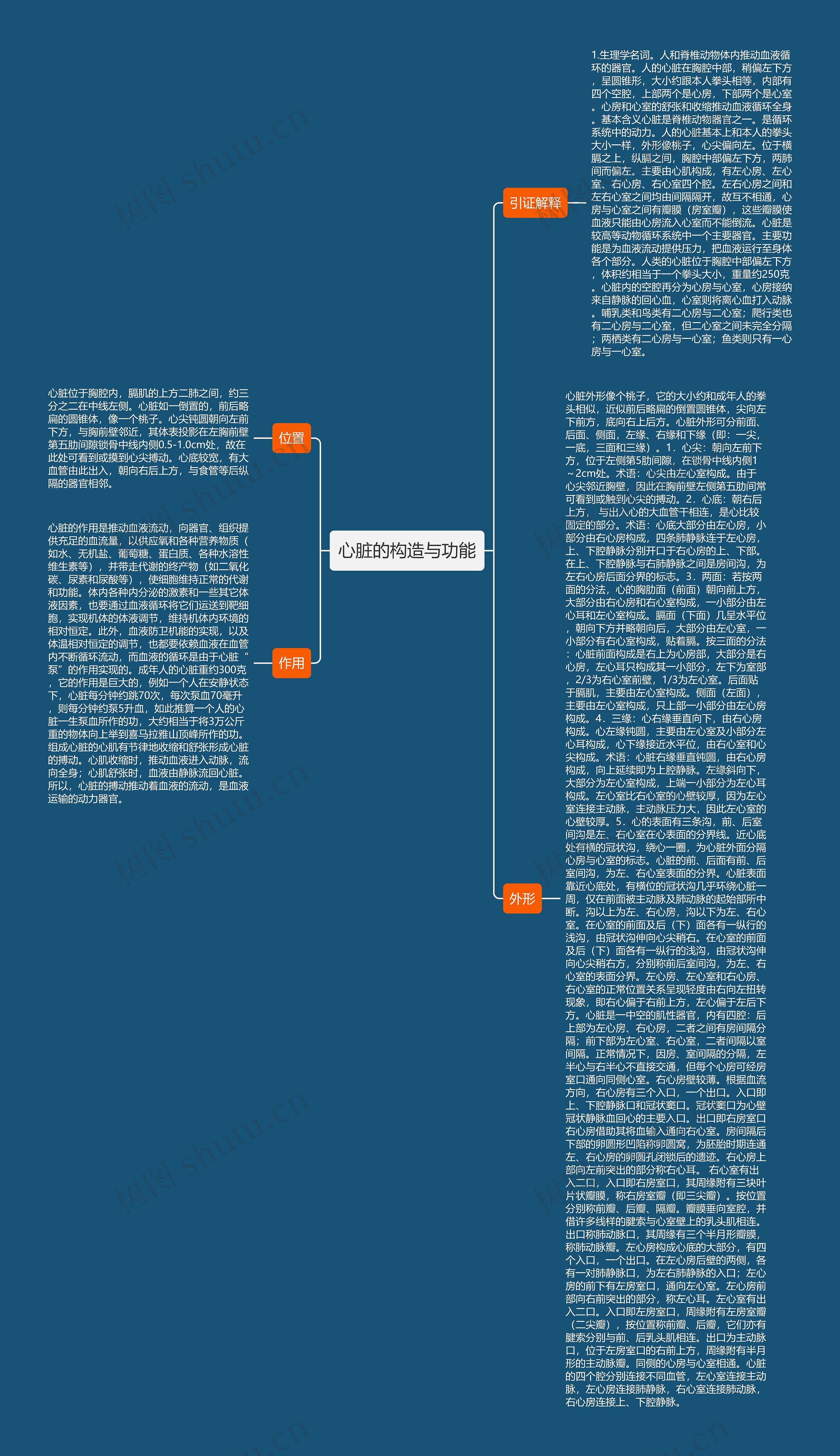 心脏的构造与功能思维导图高清图 心脏的构造与功能思维导图