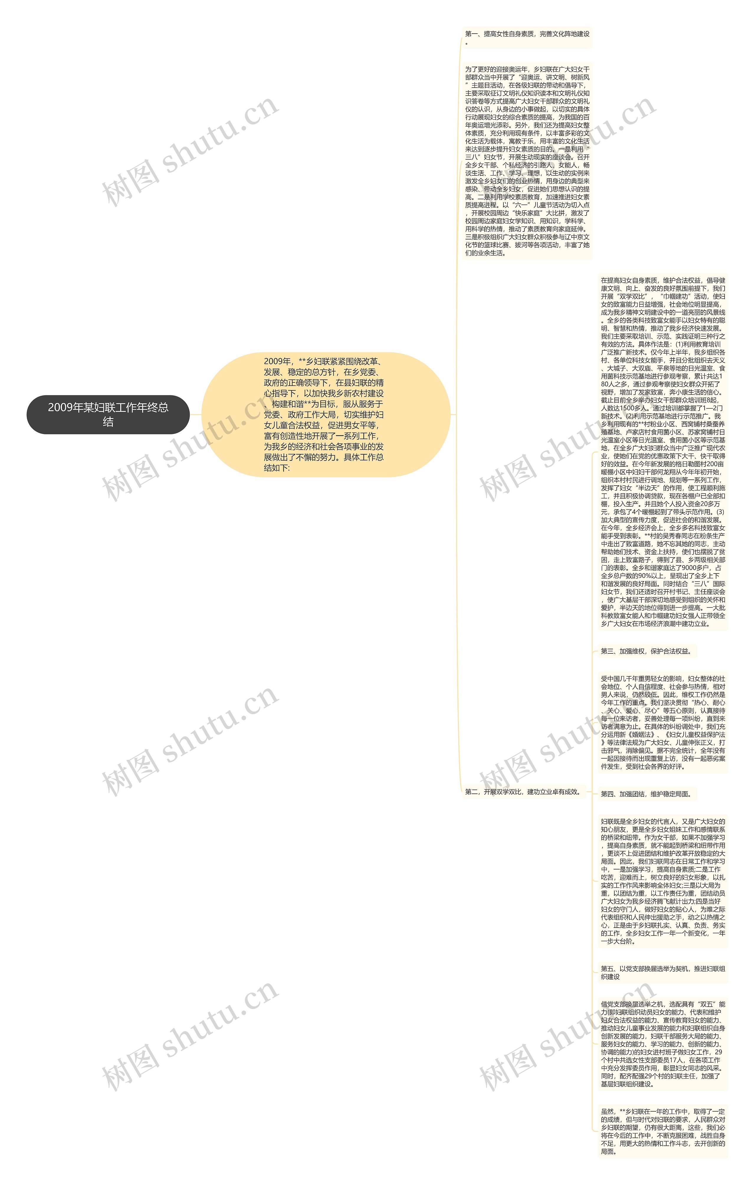 2009年某妇联工作年终总结思维导图