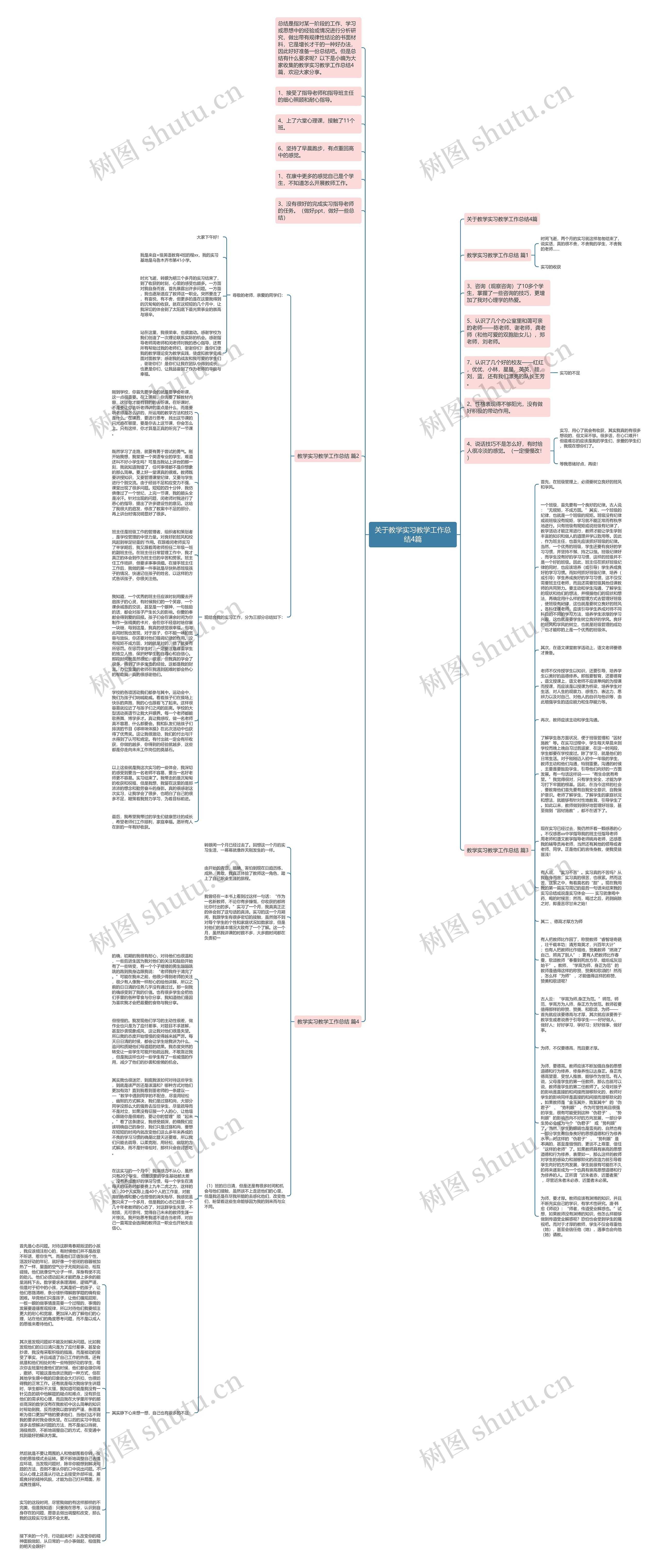 关于教学实习教学工作总结4篇思维导图