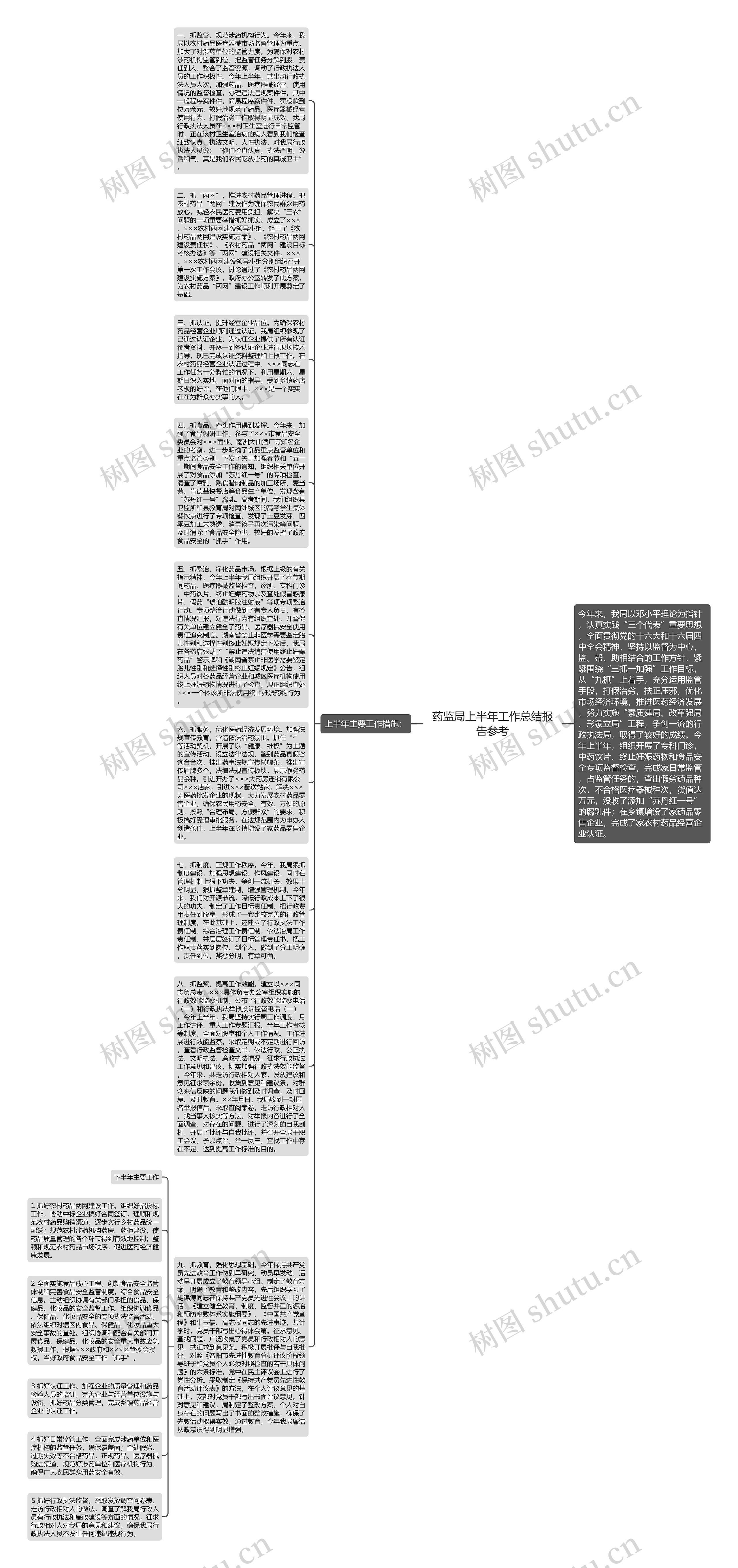 药监局上半年工作总结报告参考思维导图