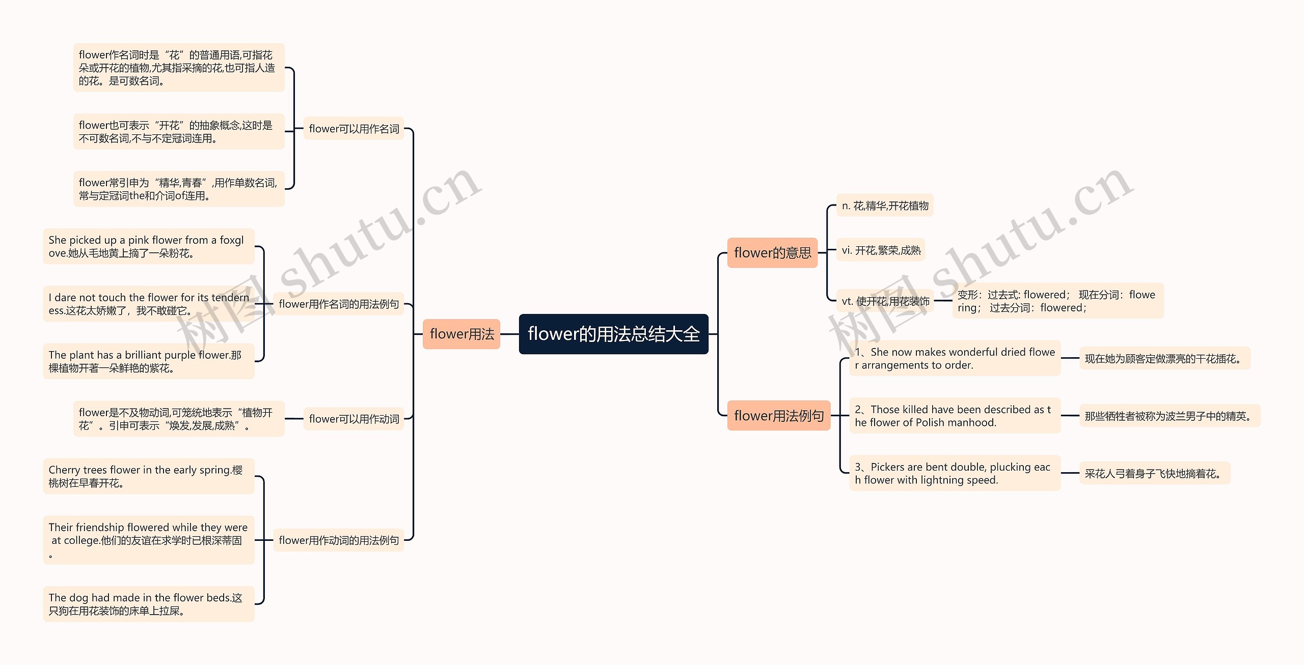 flower的用法总结大全思维导图